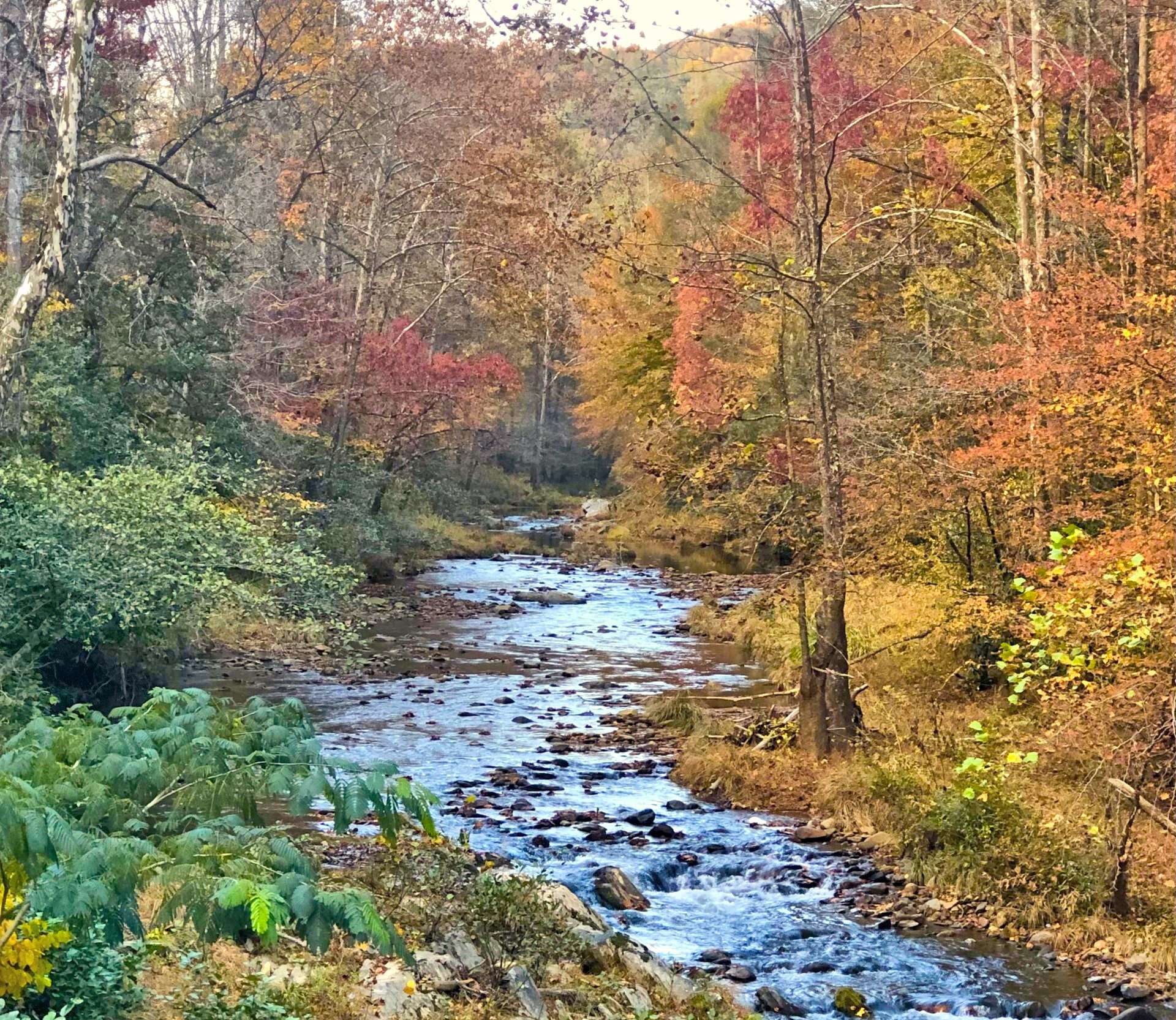 Another shot of Elk Creek in Fall