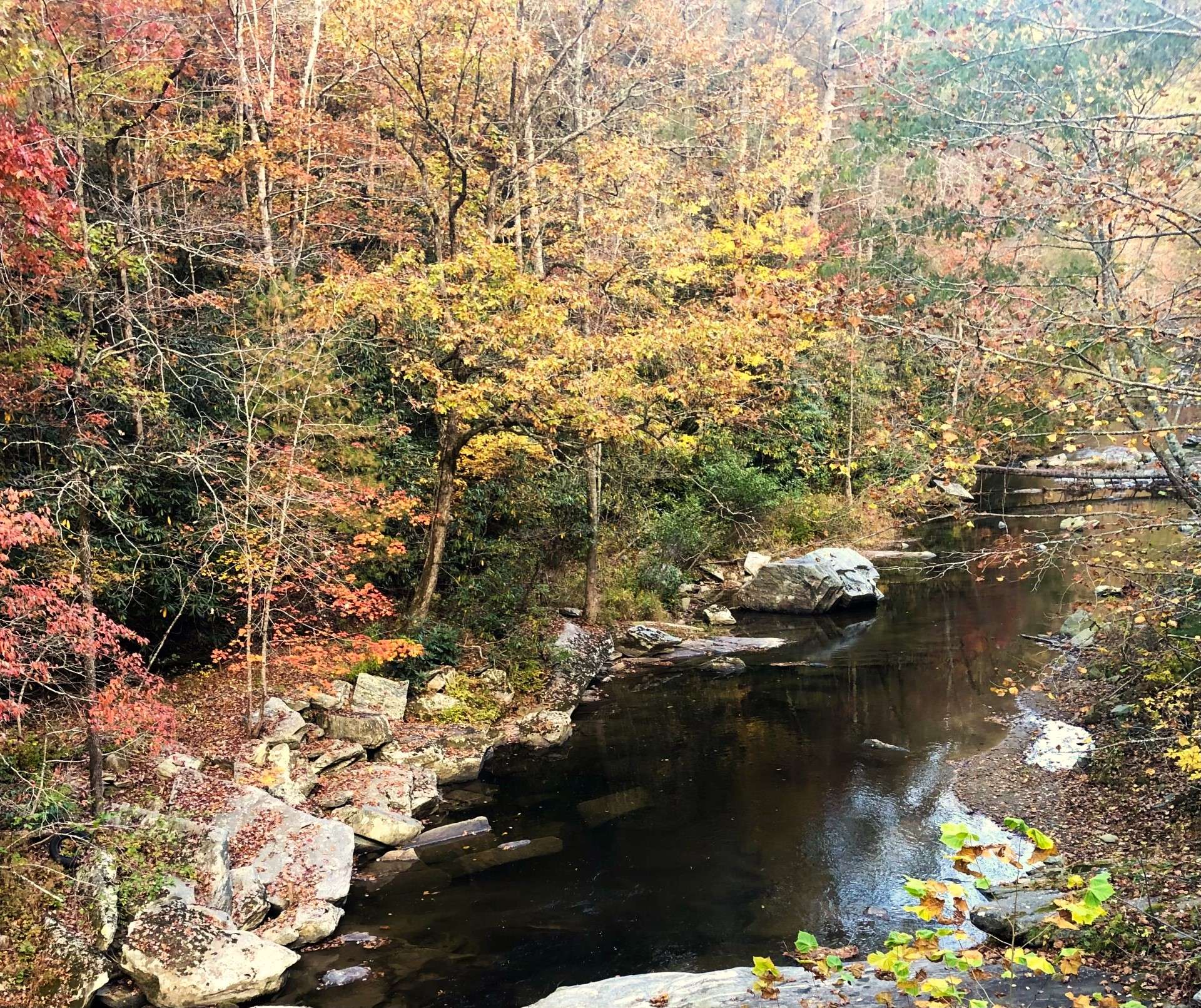 Elk Creek Fishing Area in Fall