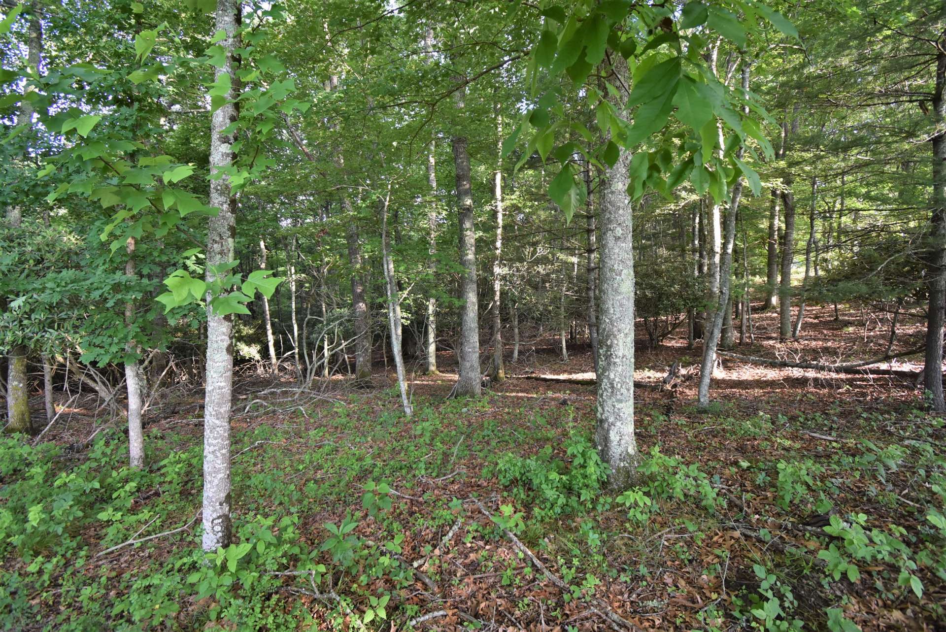 <b>Lot 32, a beautiful 2.64 acre mostly wooded home site, is offered at  $38,500 and will make a great site for your new NC Mountain cabin or primary residence.  W253 </b>