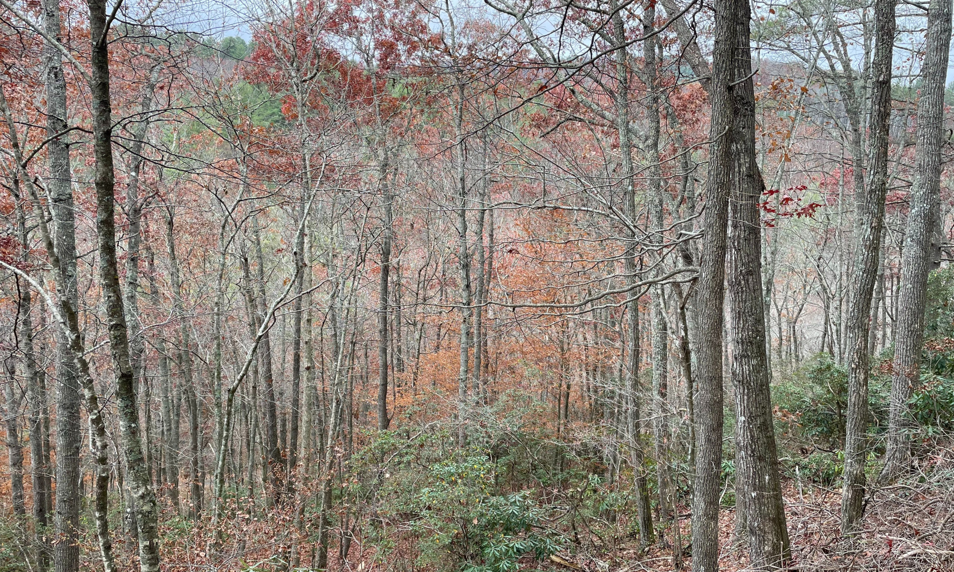 NC Mountain Homesite Hideaway Mountain