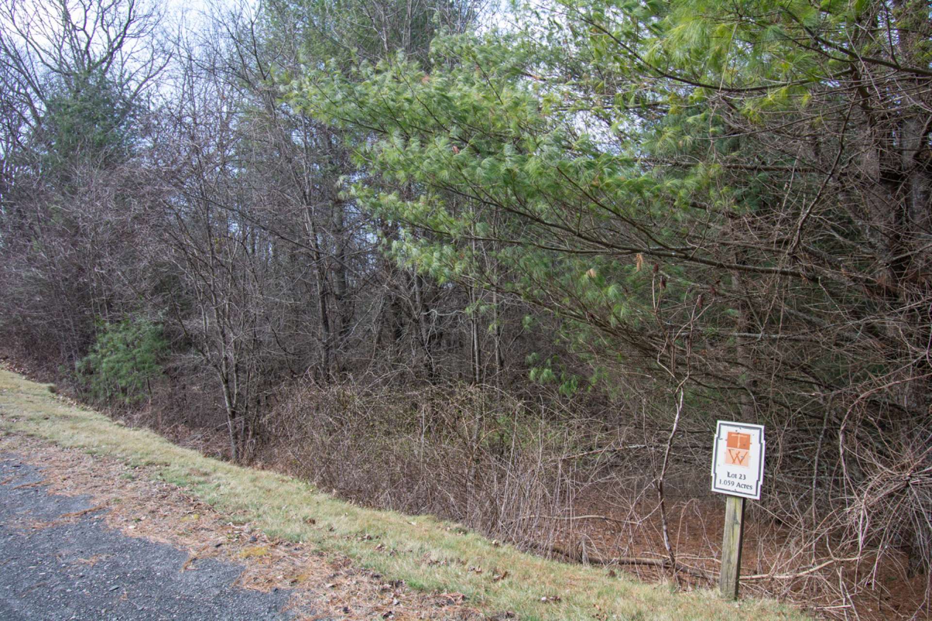 Lot 23 is available and offers a  beautifully wooded homesite for your mountain home.