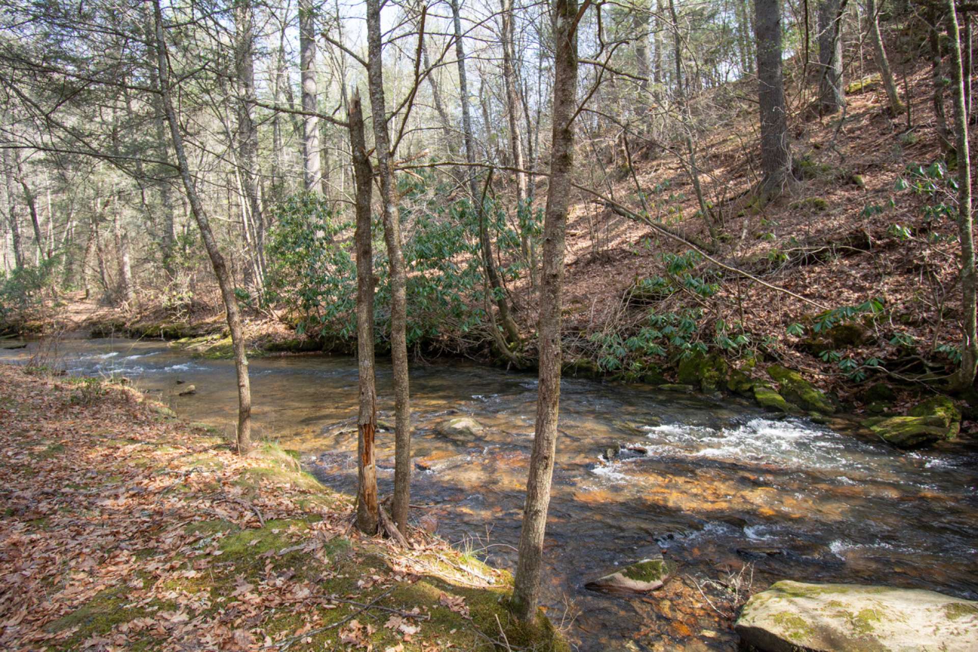 Bring your fishing poles or simply relax by the creek enjoy the sounds of the water and fresh mountain air.