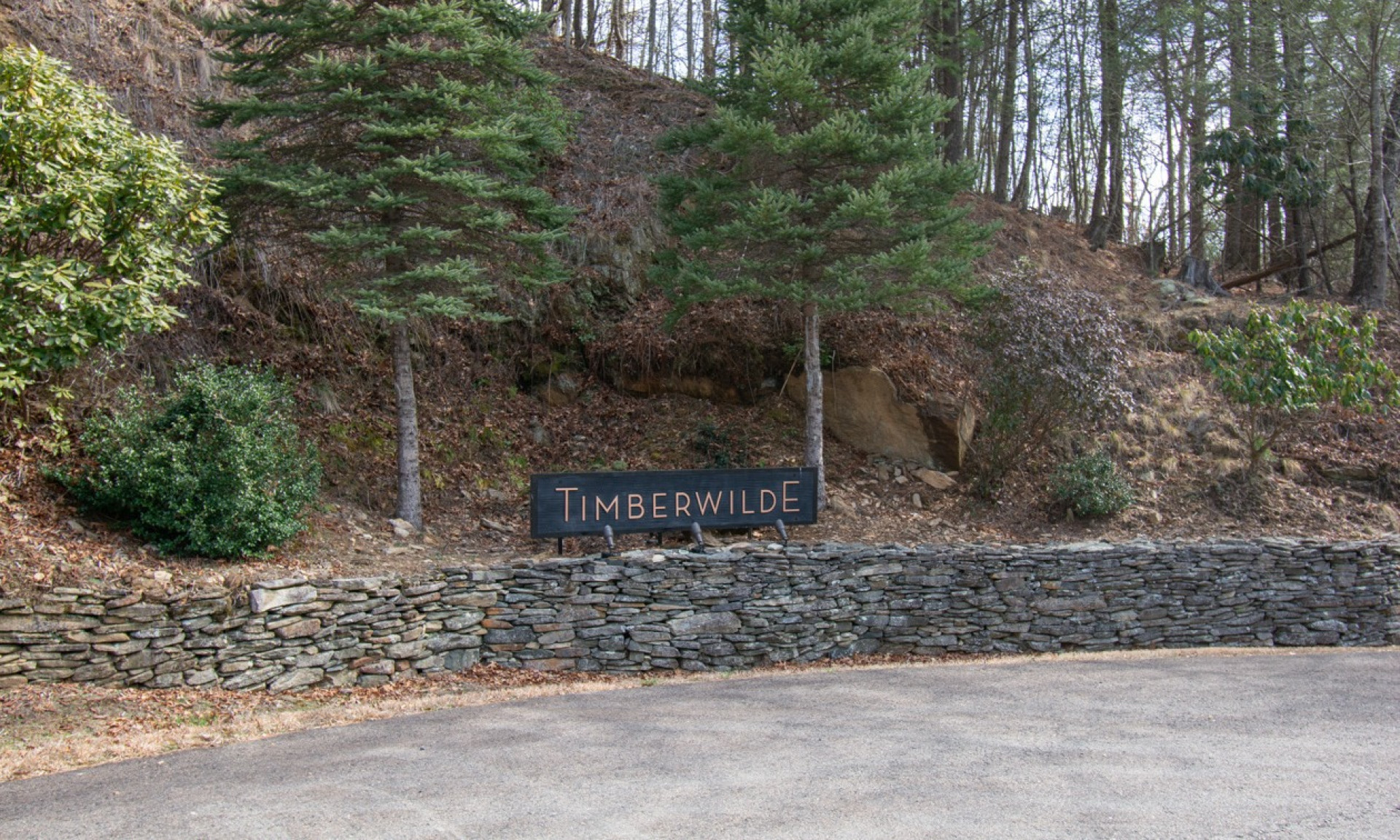Welcome to Timberwilde, a gated log home mountain community in the Laurel Springs area of Ashe County in the NC Mountains.