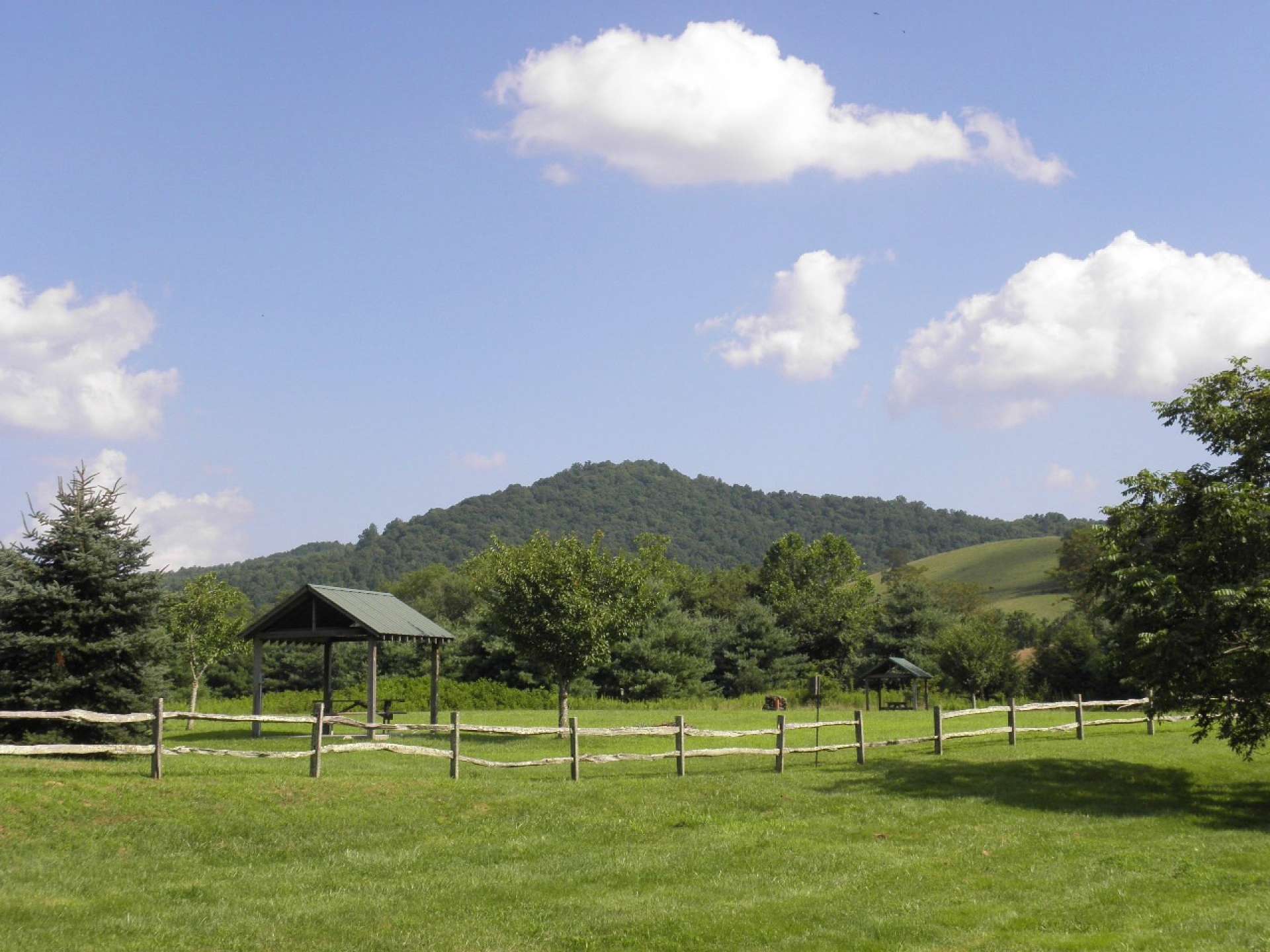 The common area features a beautiful open area for play, picnics, or just relaxing by the river.