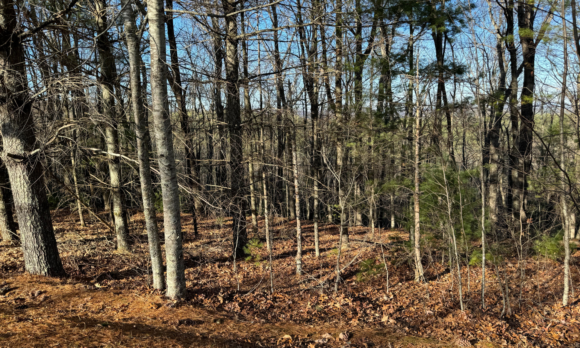 NC Mountain Homesite River Community