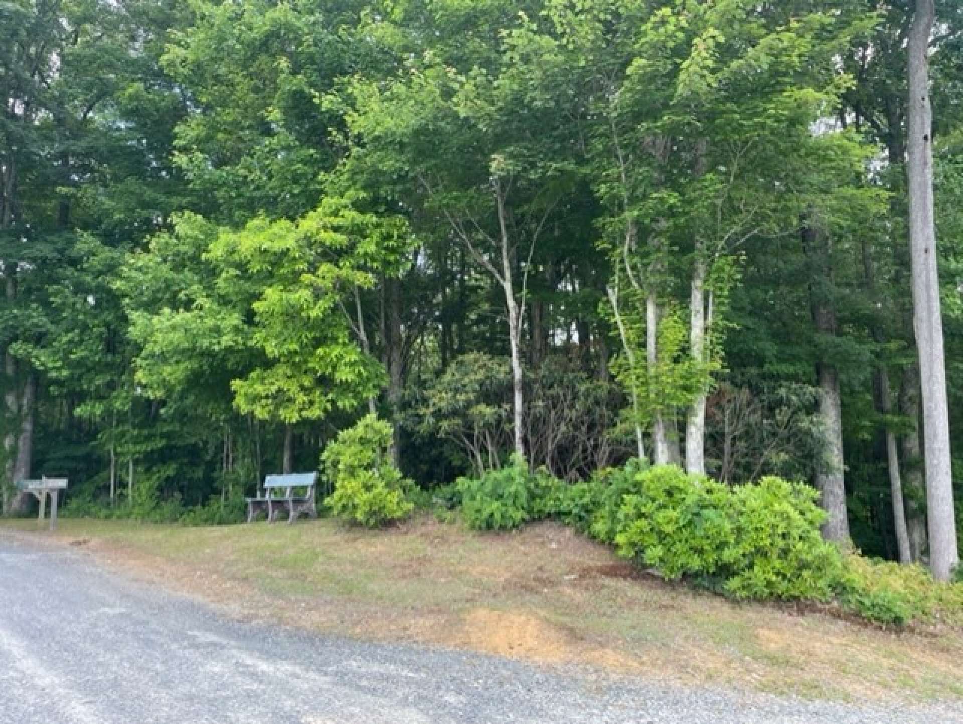 Beautiful wooded corner lot to build your dream mountain getaway!