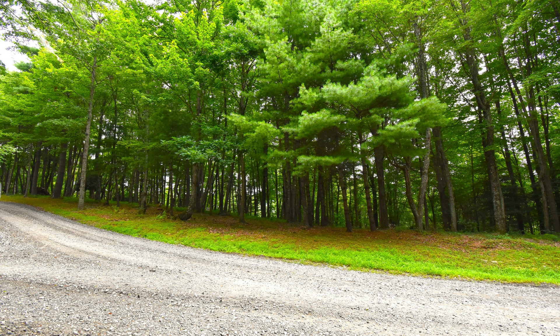 NC Mountain Homesite West Jefferson