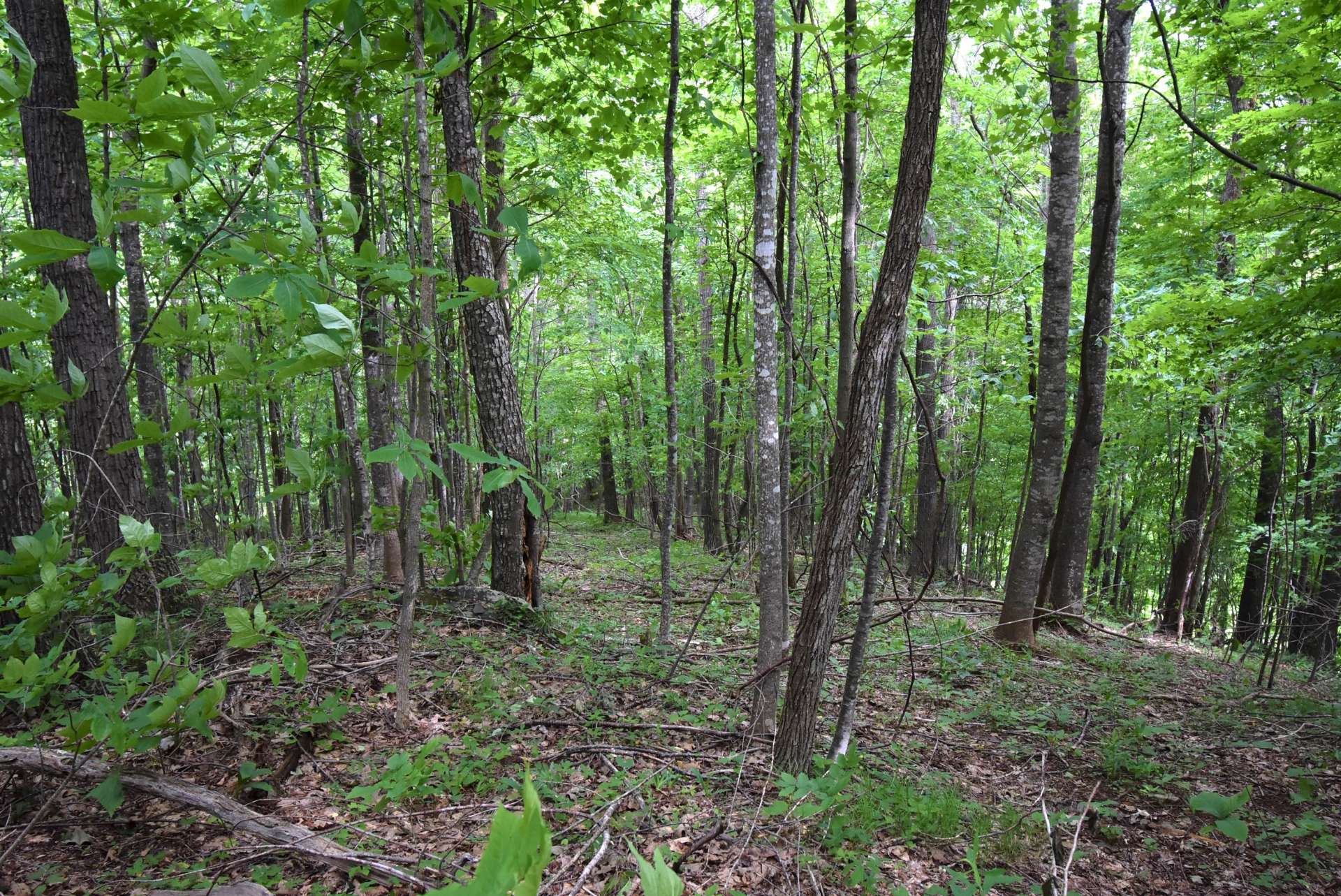 This is a sloping wooded 1.85 acre lot allowing for potential mountain views and privacy.  A 4-bedroom waste water permit issued in 2007.
