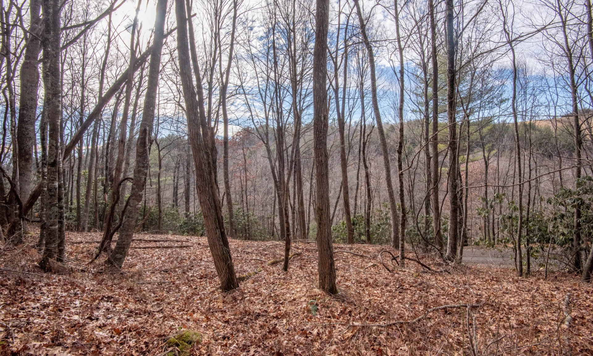 NC Mountain Land for Sale Ashe County