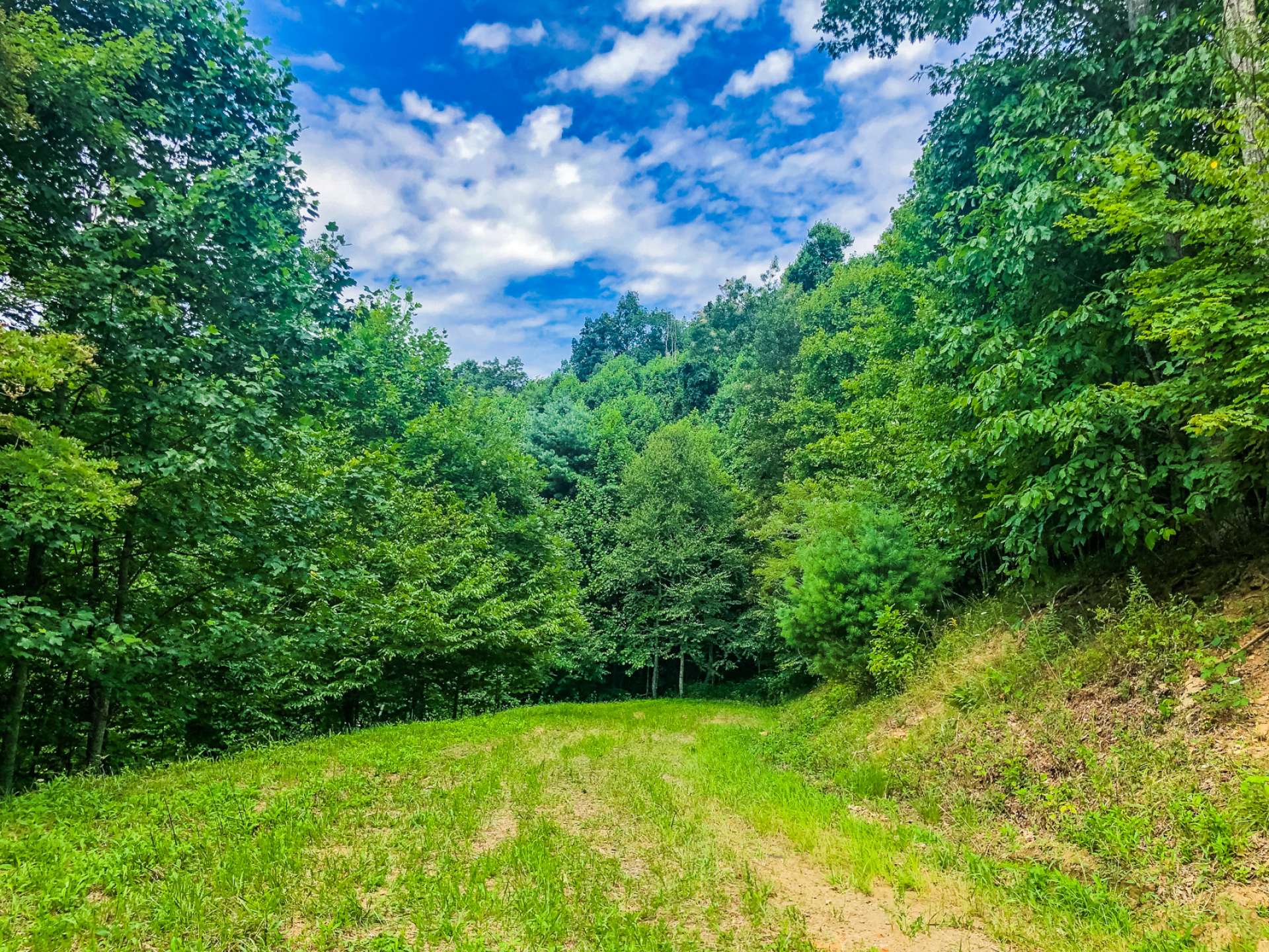 Plenty of room to roam with this 21.44 acre tract with easy access and just a short drive to West Jefferson.
