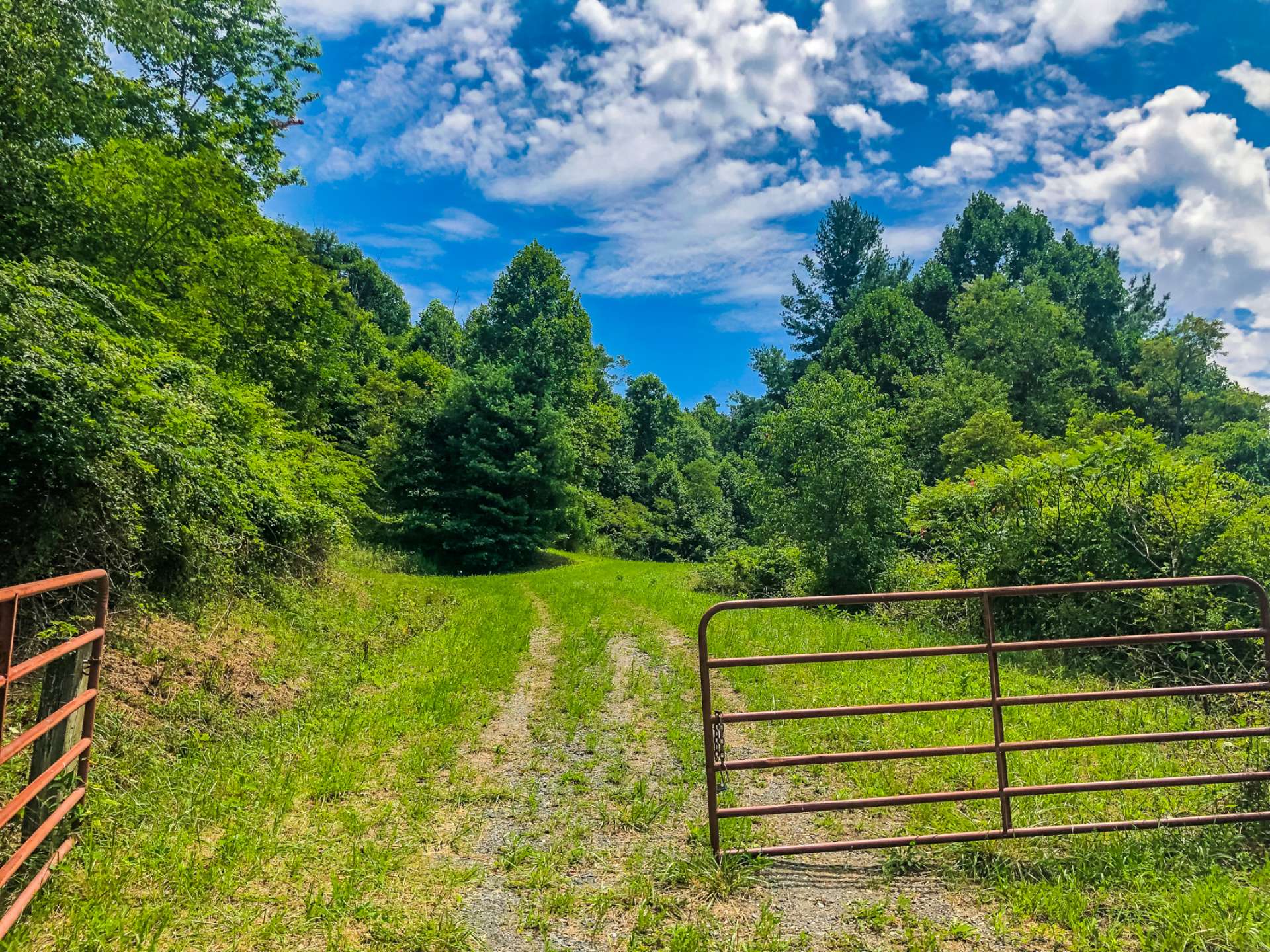 Apple Tree Lane meanders through the property.