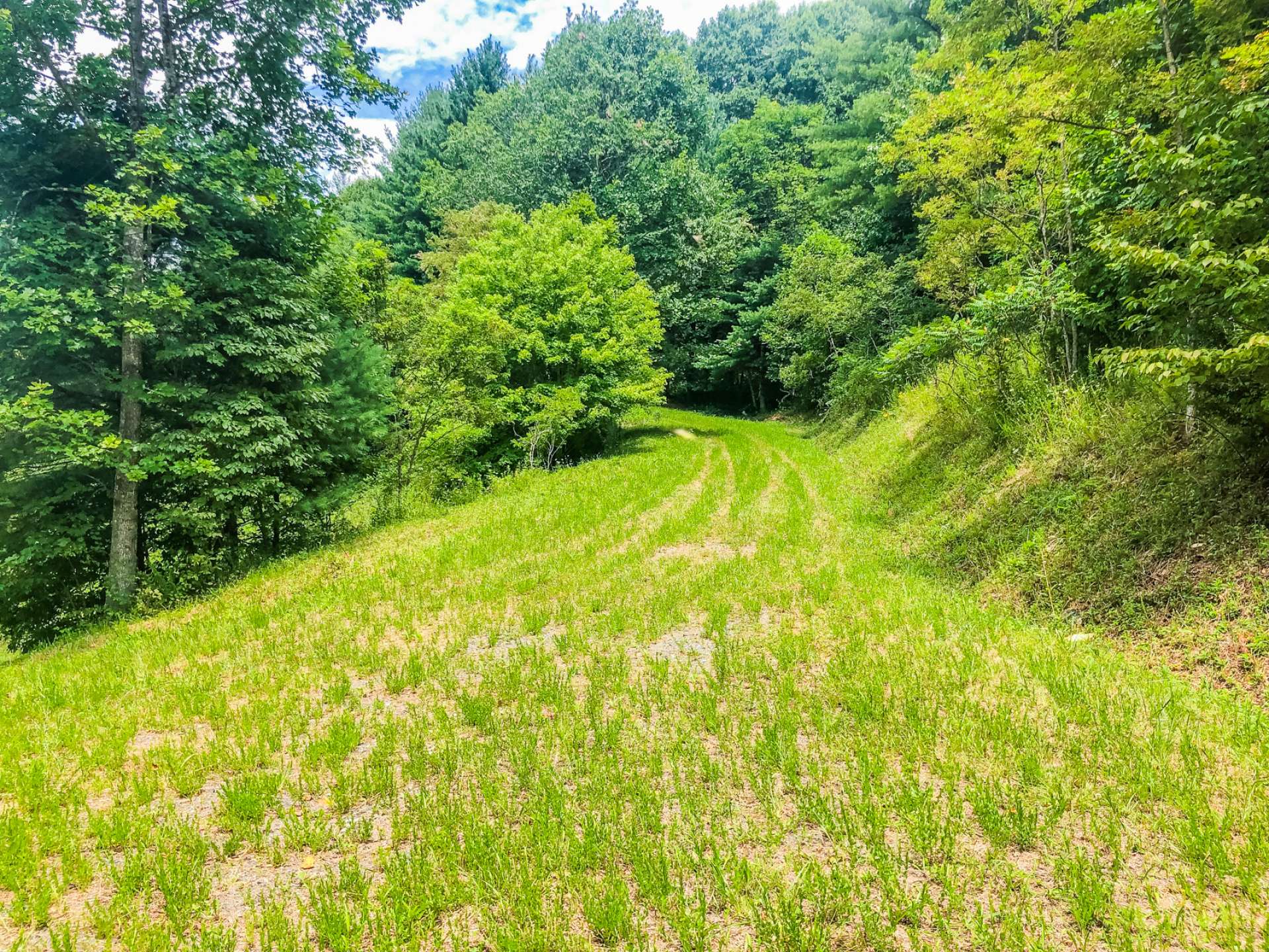 Shhhhhhh...you might catch a glimpse of a whitetail deer or turkey. This property is home to a wide variety of wildlife.