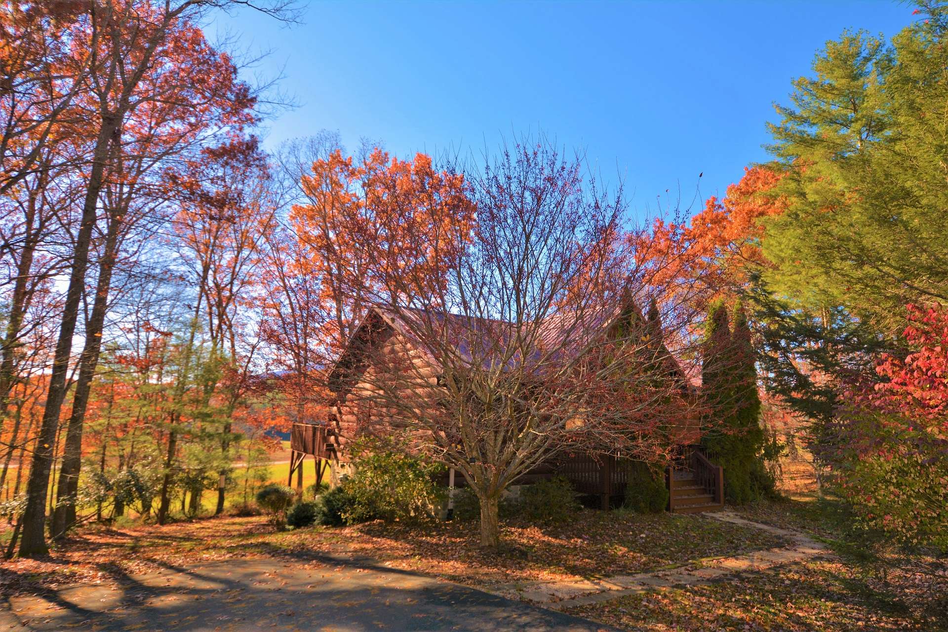 Nestled among a 1.5 acre setting, this sweet cabin bids you to come inside and experience log cabin living at its finest.