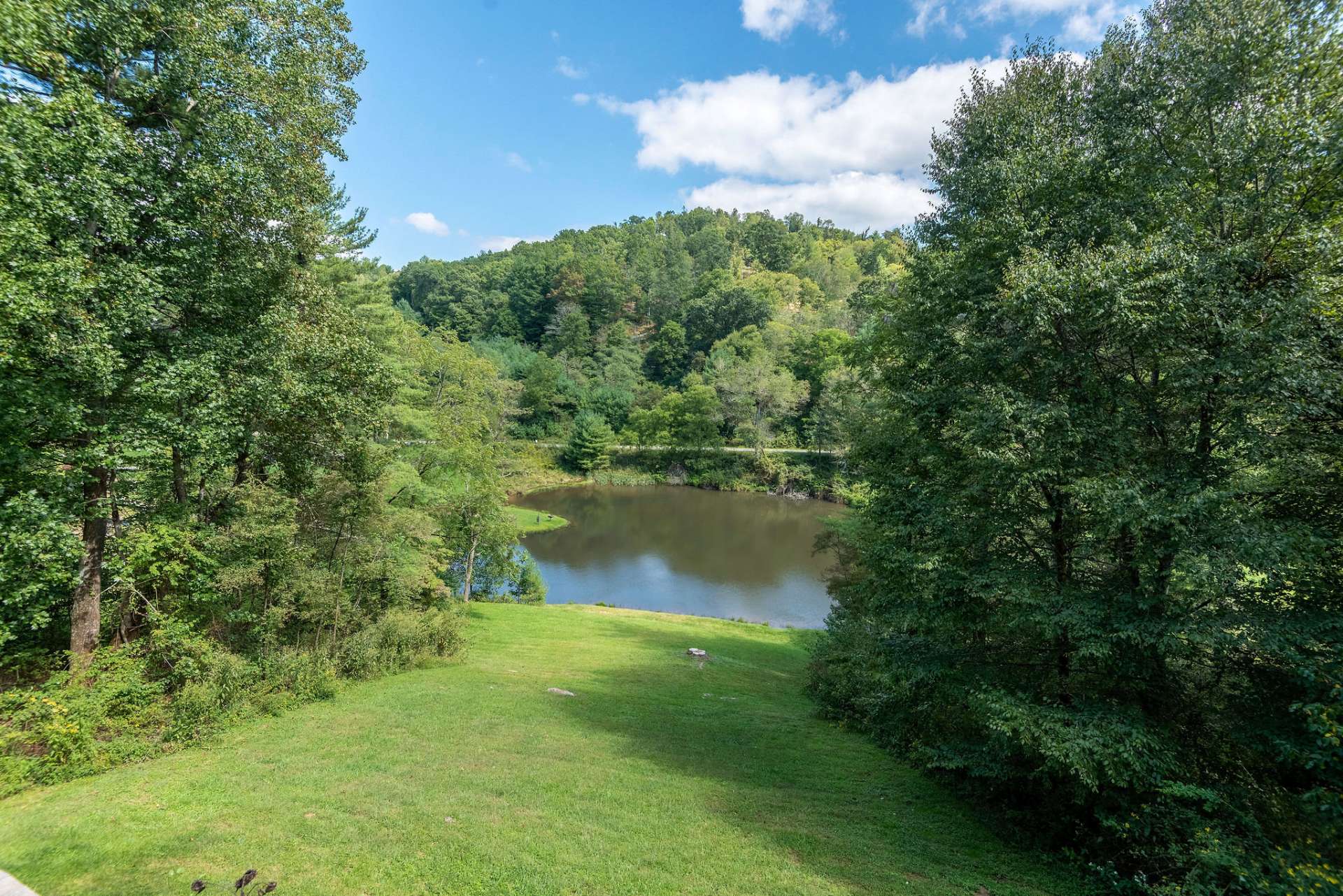 Property is adjacent to the community pond where you can fish from your front yard.