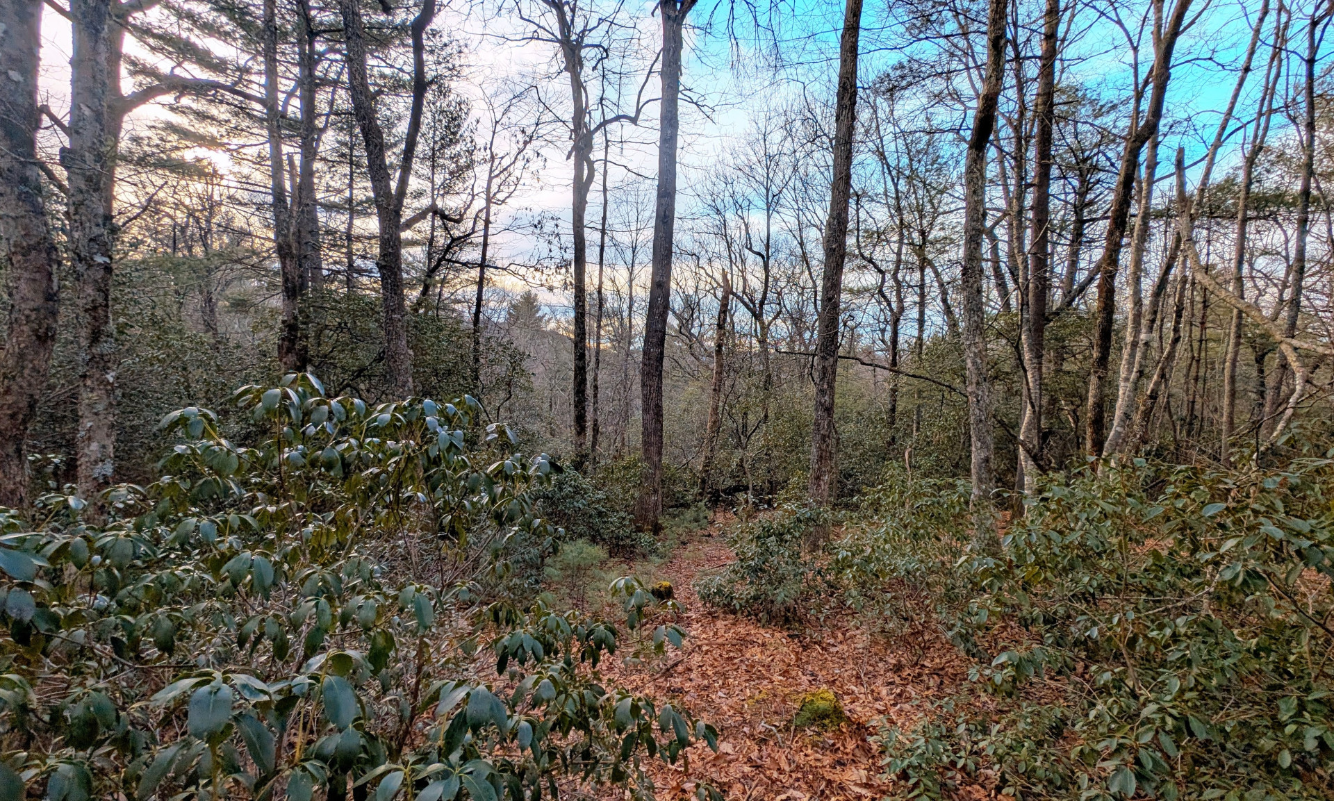 NC Mountain Lot The Glen at Calloway Gap