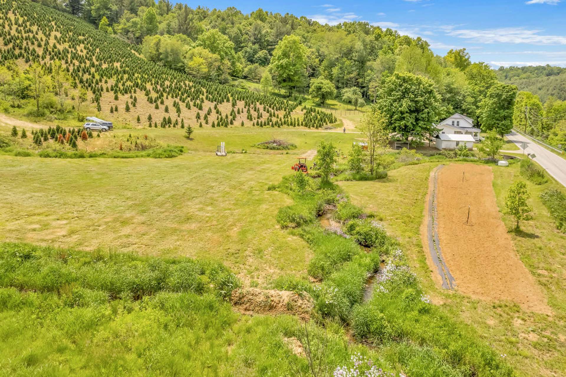 Field could be fenced in for goats and a donkey!