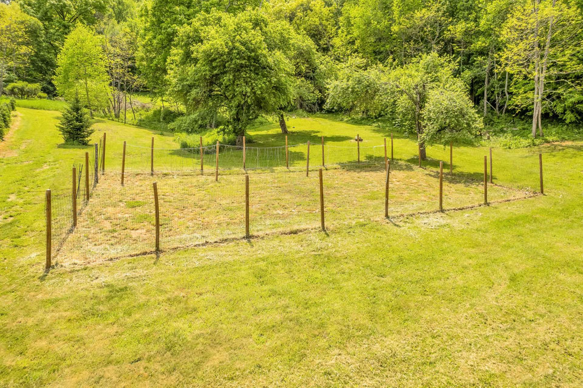 Previous garden area with fruit trees behind.