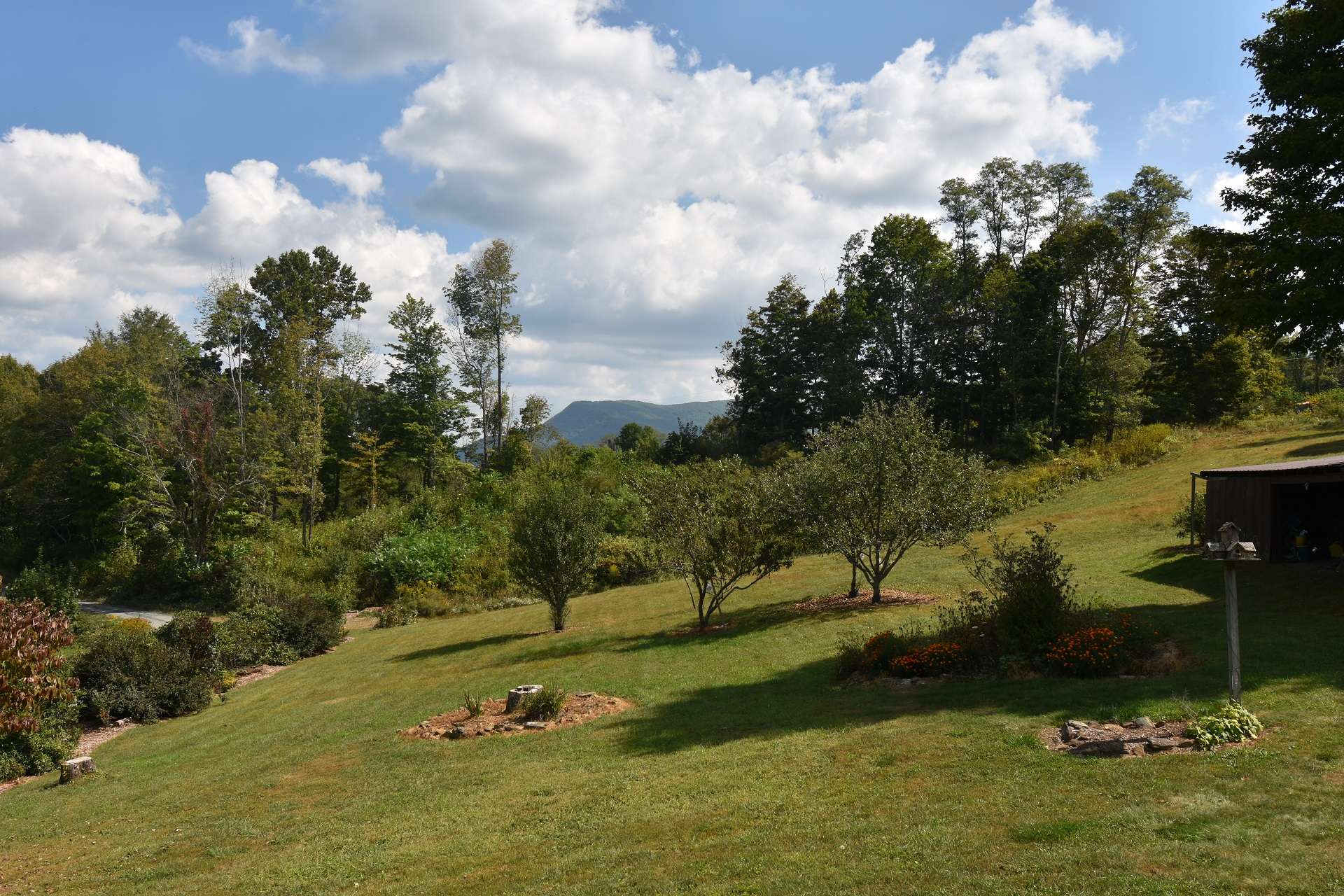 With a mixture of pasture and woodlands, this property is perfect for a mini farm or hunting property.