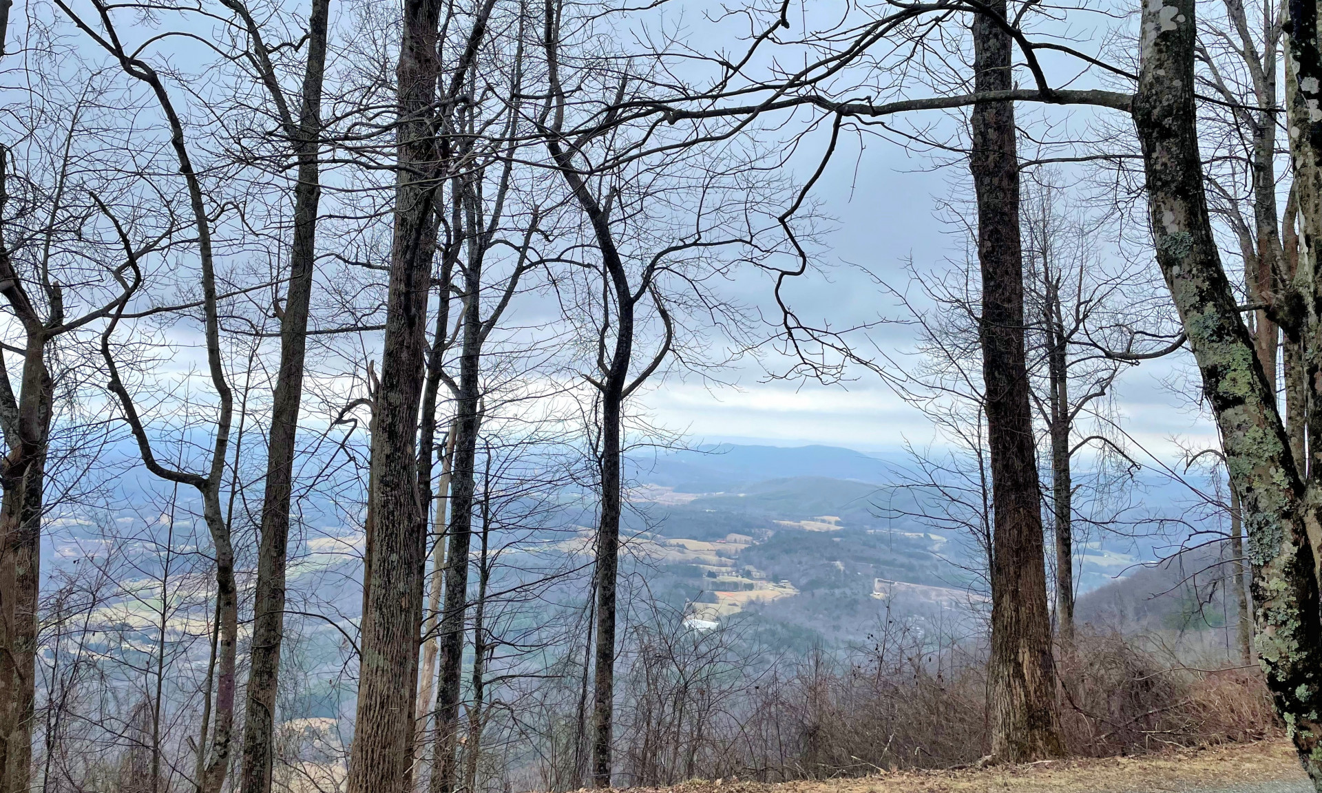 NC Mountain Piedmont View Acreage