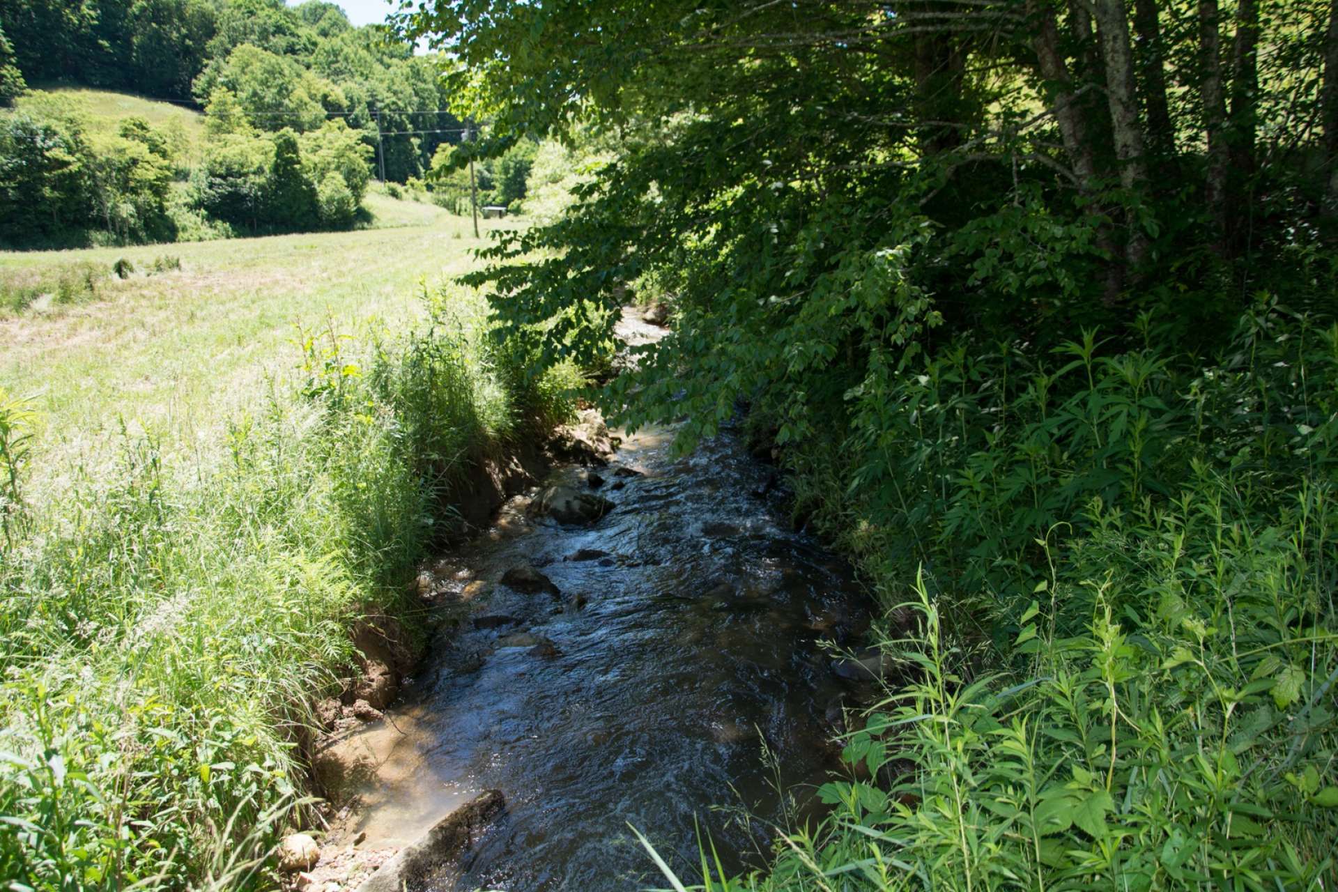 This bold mountain stream runs through the meadow providing a water source for livestock and maybe pond potential.