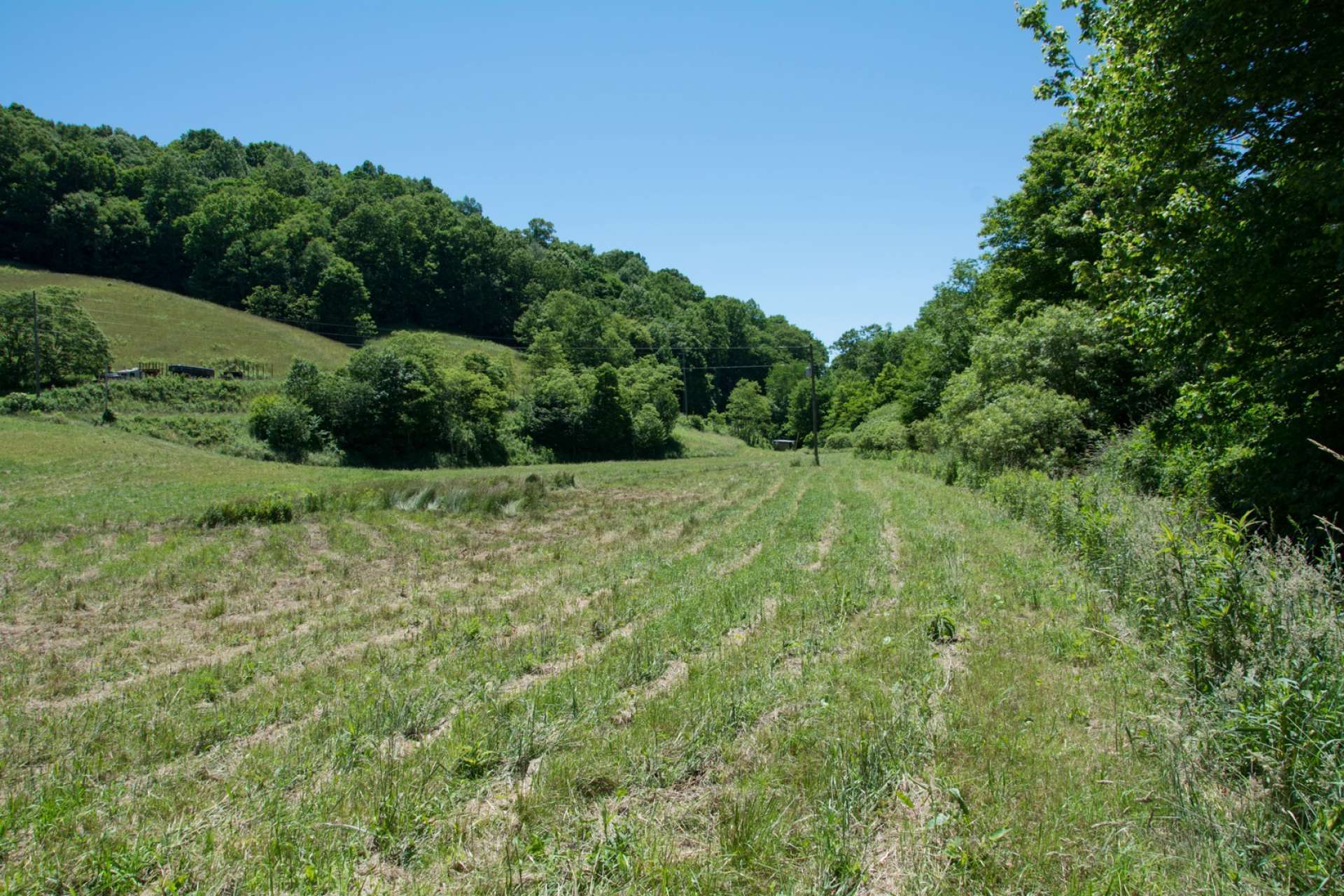 Fairly level meadows are ideal for crops or grazing. A vineyard project would also be probable here.