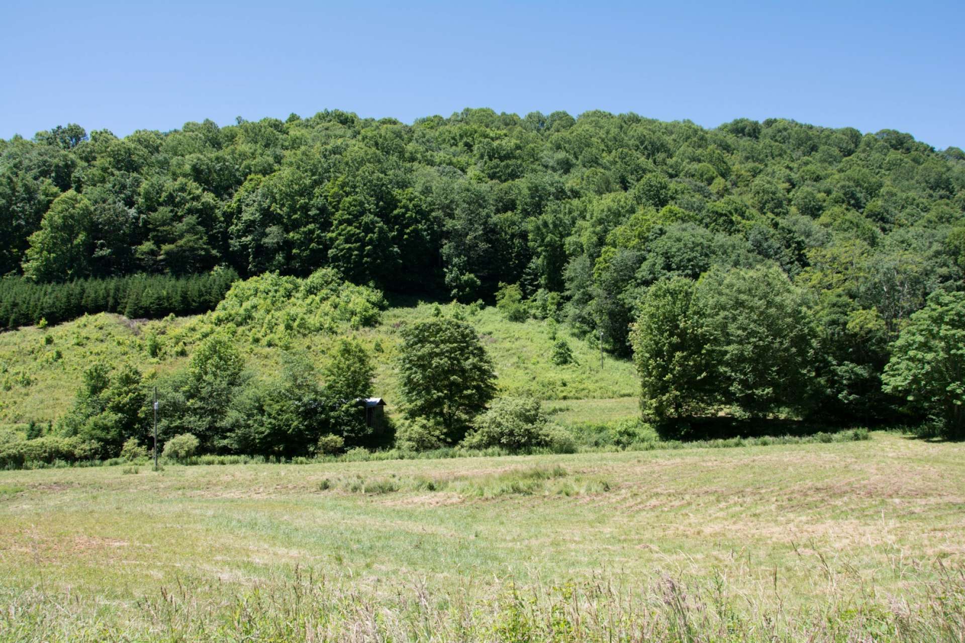 Enjoy a mixture of pasture and peaceful woodlands, a bold mountain stream, two outbuildings, a 2-bedroom septic in place, a spring and reservoir and a quiet peaceful setting just 20 minutes outside West Jefferson with easy year-round access.