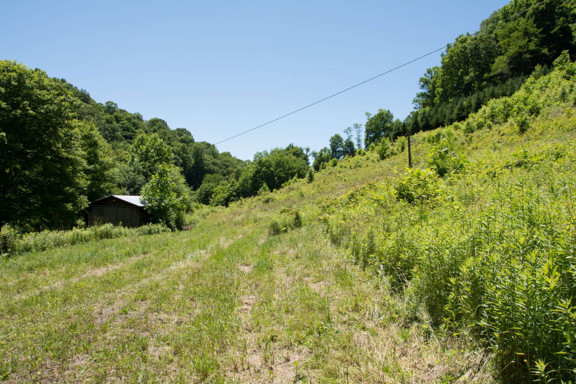 Offered at $85,000, this 12.86 acre unrestricted land tract is located off of Big Windfall Road in the Lansing area close to Big Horse Creek for trout fishing. This tract offers many options including a mini-farm with livestock or crops, vineyard, or private mountain estate to build your home or cabin.  Call today for more information.  J243