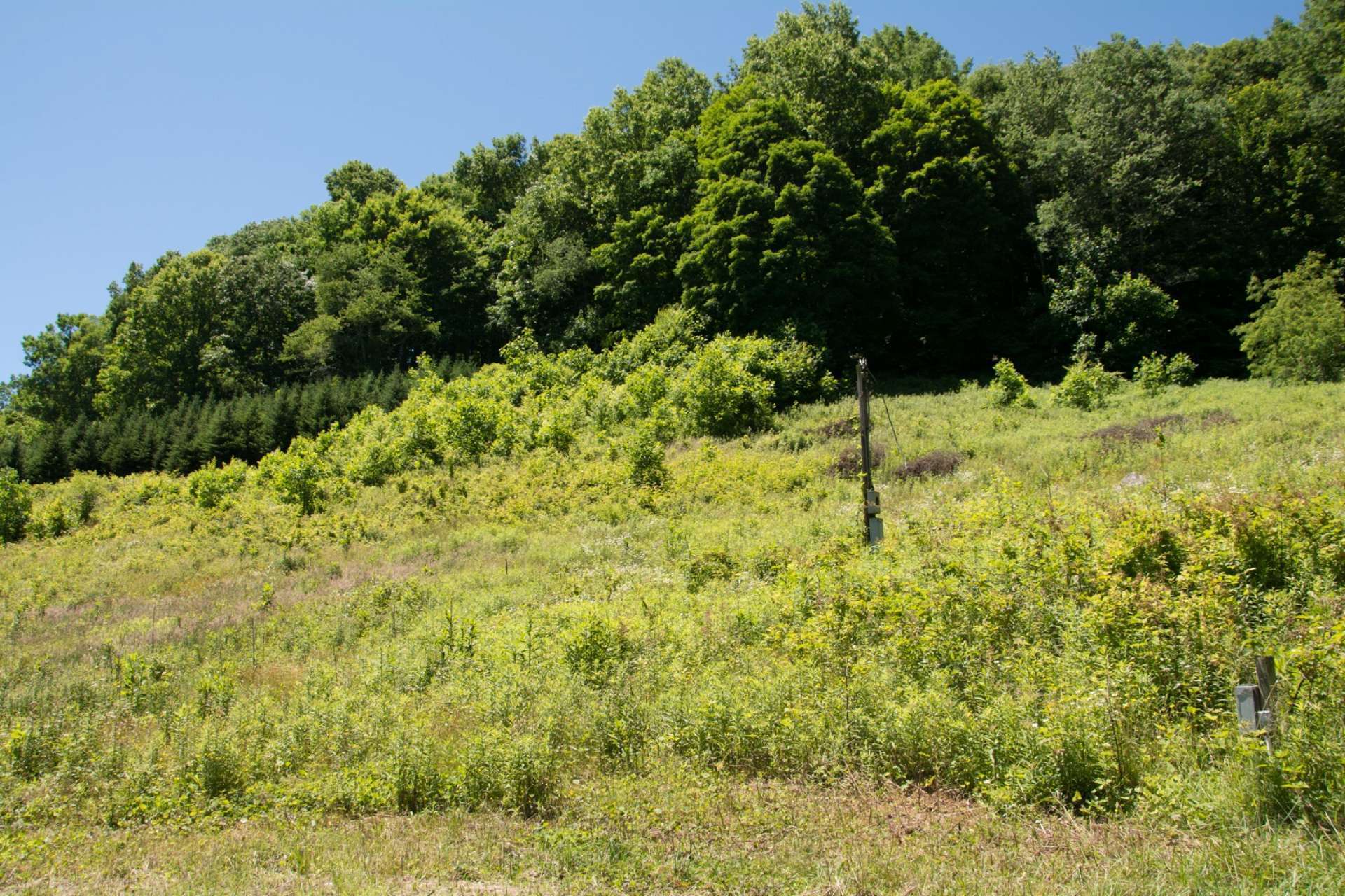 This is the site where a mobile home was once located on the property.