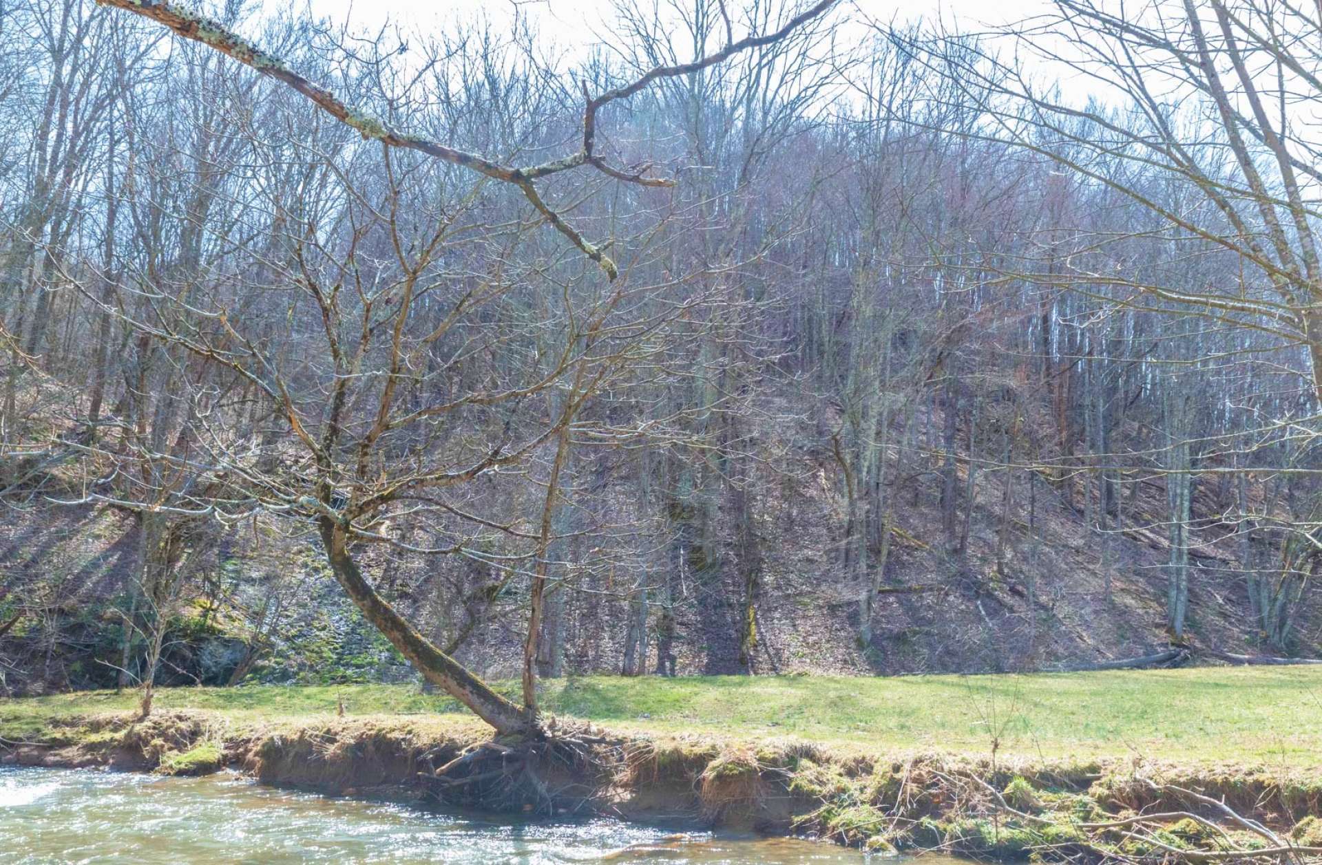 Offered at $110,000, this 11.58 acre tract in the Creston area of Ashe County in the high country of the Blue Ridge Mountains will be a great option for your mountain home site. Call us today for additional information. R253