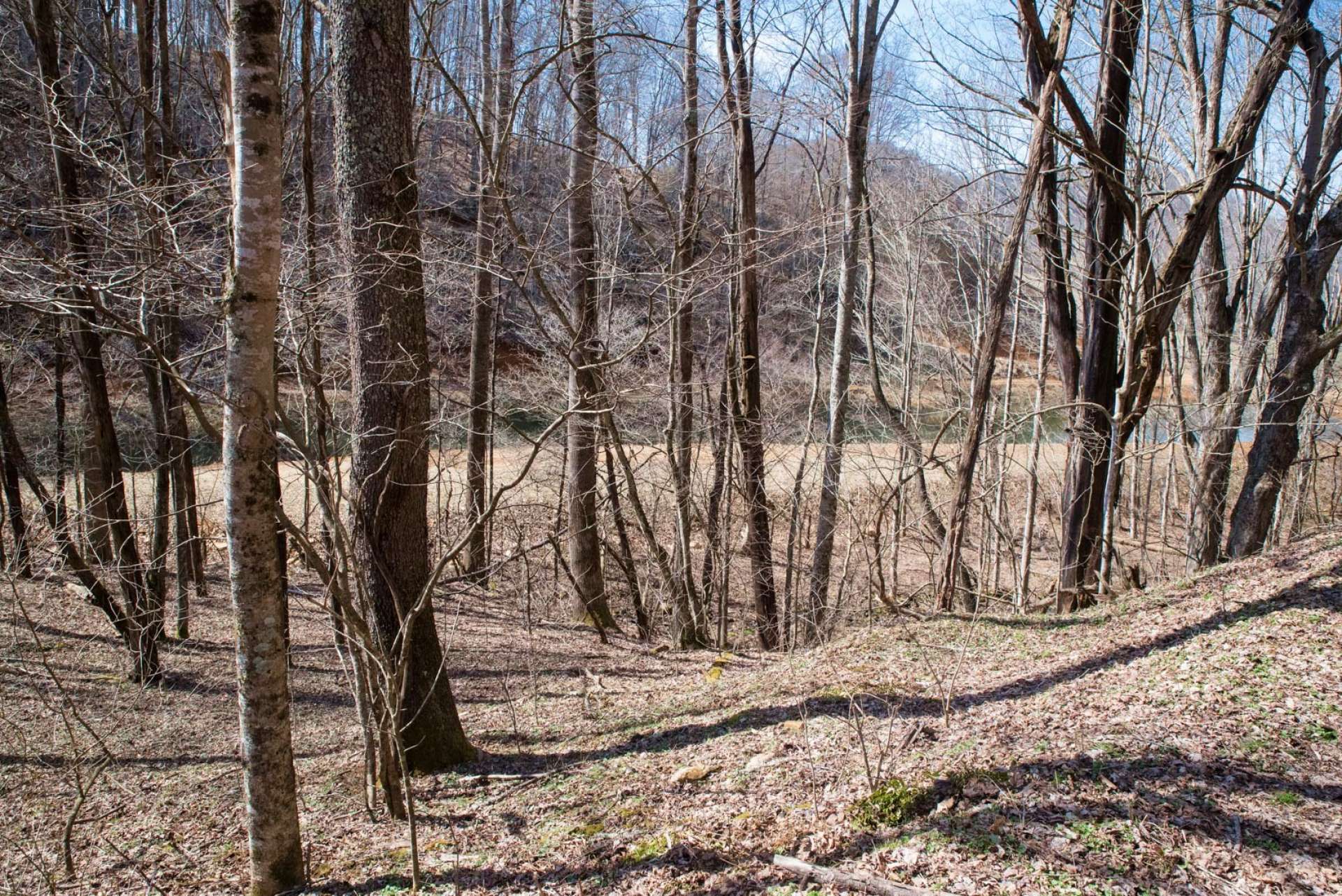 The area at the river bank is mostly level providing excellent options for picnic area and easy access to the river.