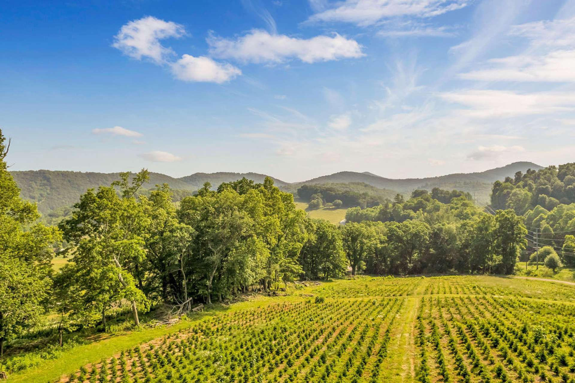 From the back of the home, enjoy the view of the adjoining Christmas tree farm.