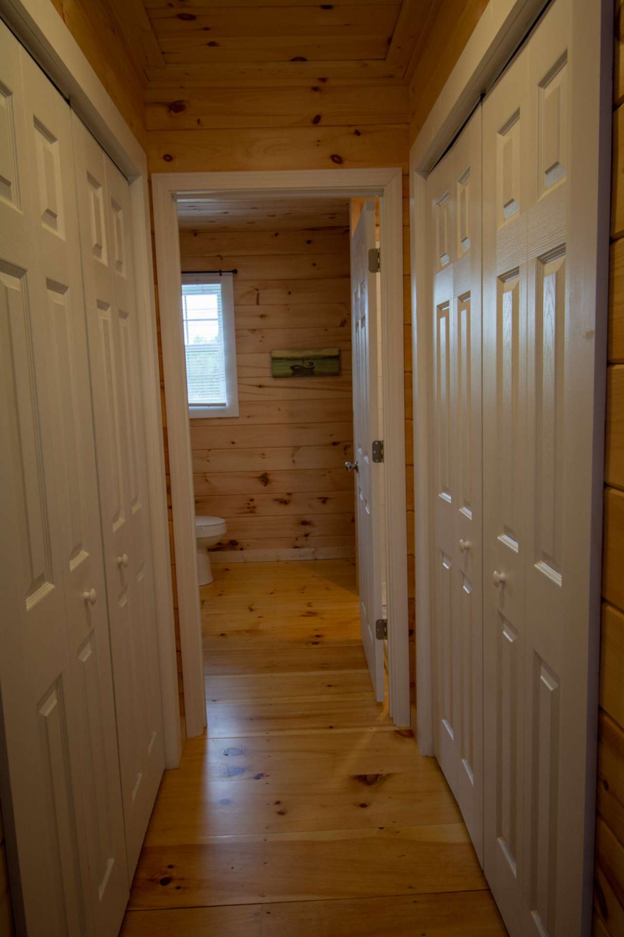 Third level hallway to bath with closets on each side.