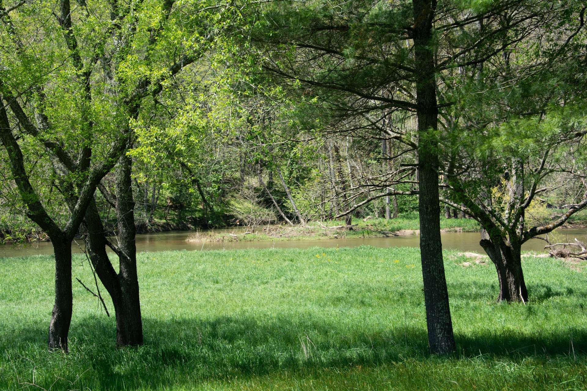 Lovely open and level river frontage for outdoor recreational activities.