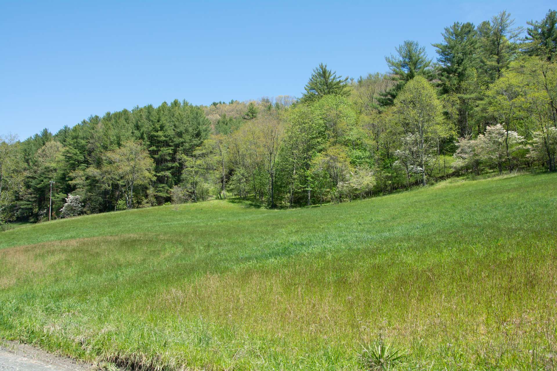 Behind the homesite  is wooded offering a wonderful habitat for a mixed variety of wildlife.