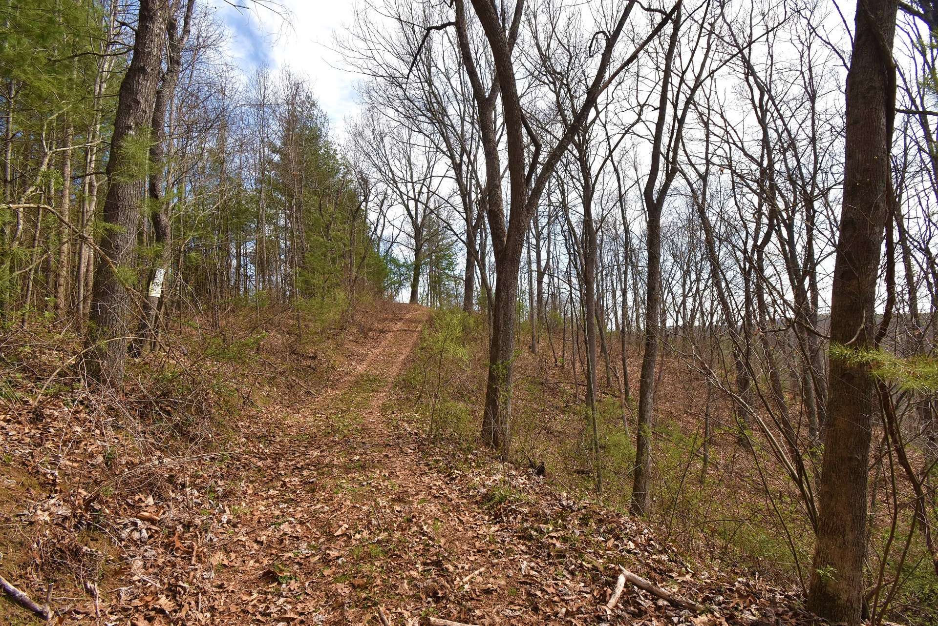 A private road leads up to the home site or camp site that already has a 3 bedroom septic permit issued and power close by.