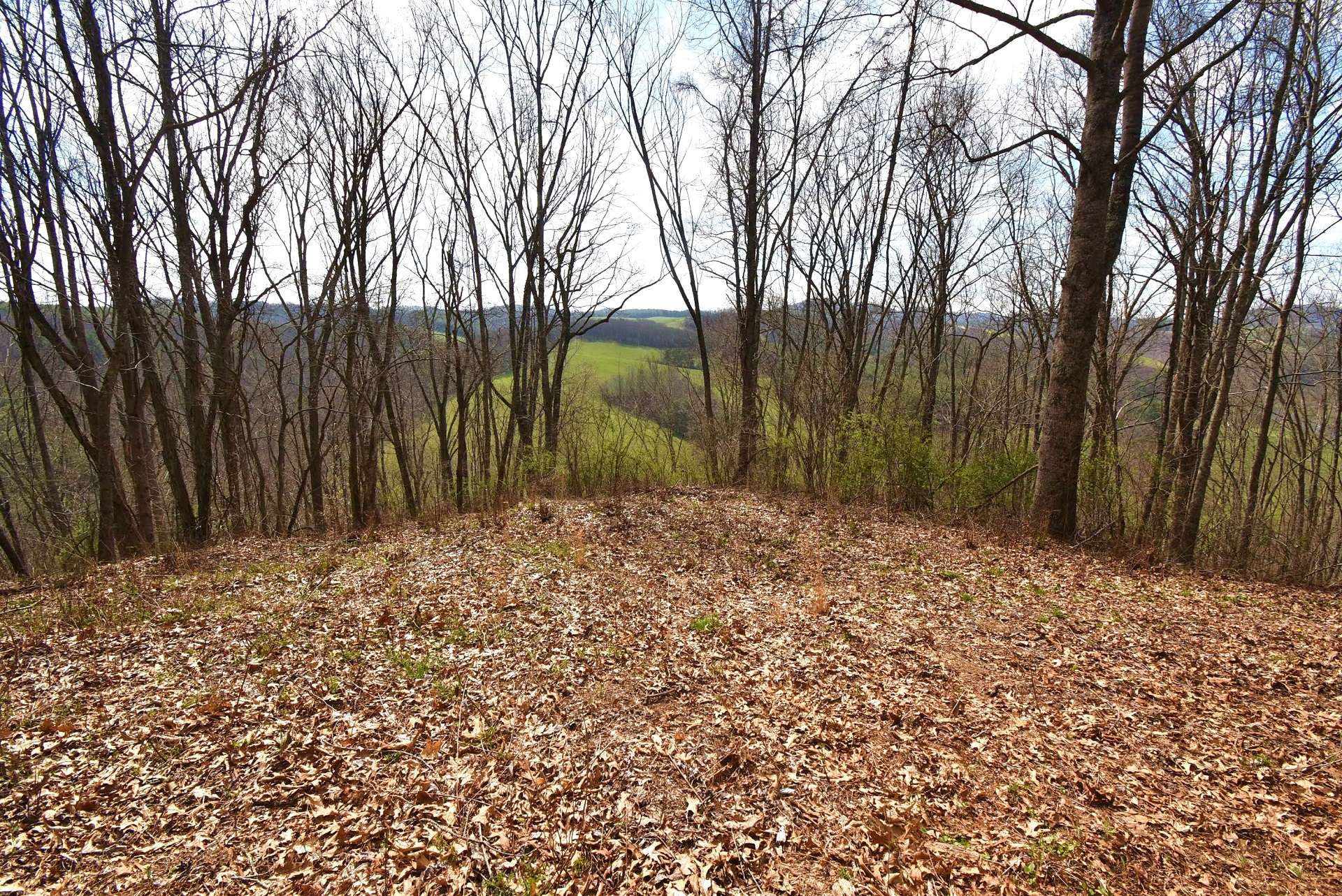 You can see the potential views with some more clearing of the upper lot. A spot for a camper or house has been cleared already. Offered at only $26,000, Lot 18 of North River Estates is the ideal spot for your RV, Camper, or NC Mountain Retreat. A222 *Broker Interest!