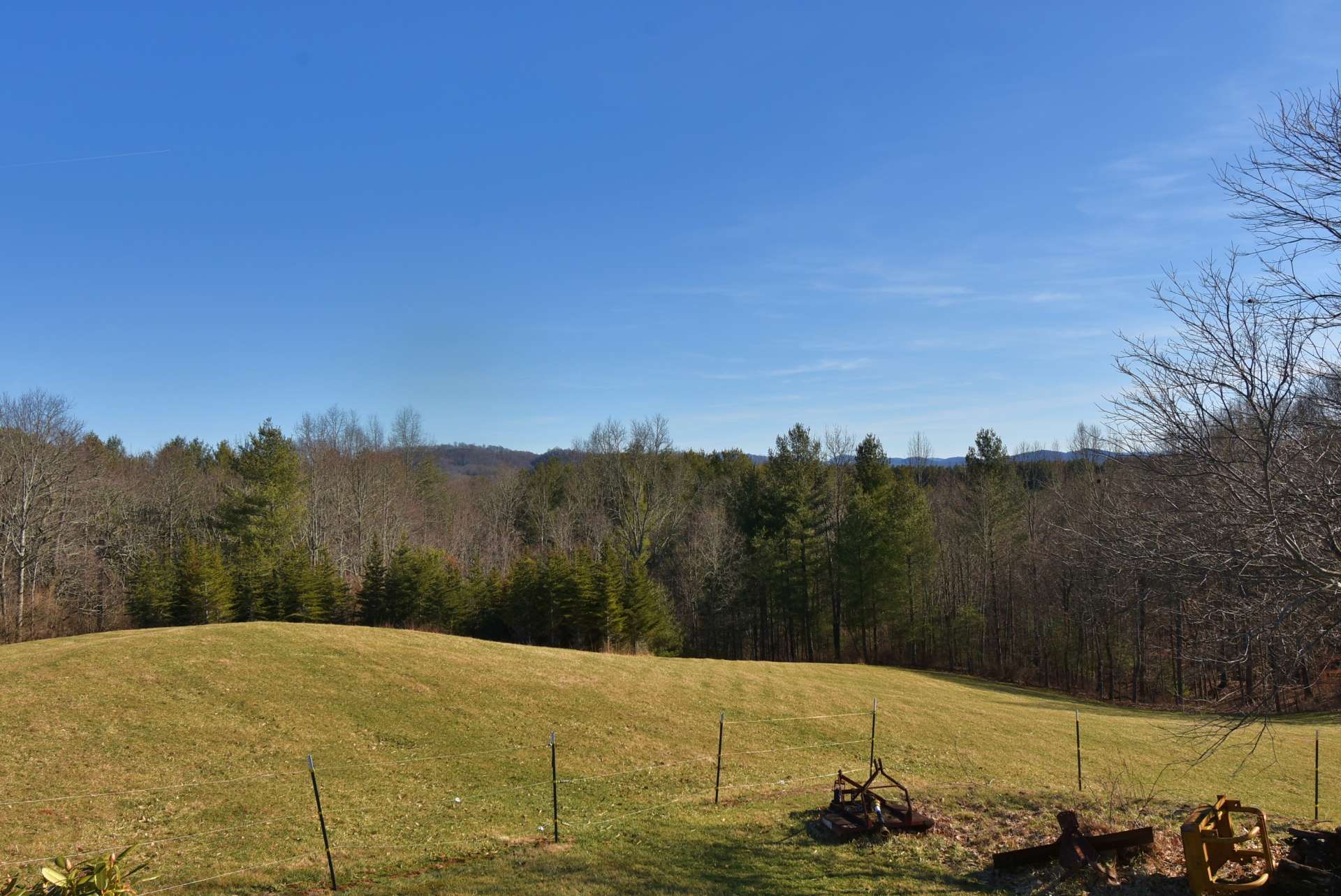 Open meadows provide pasture for horses or other livestock.