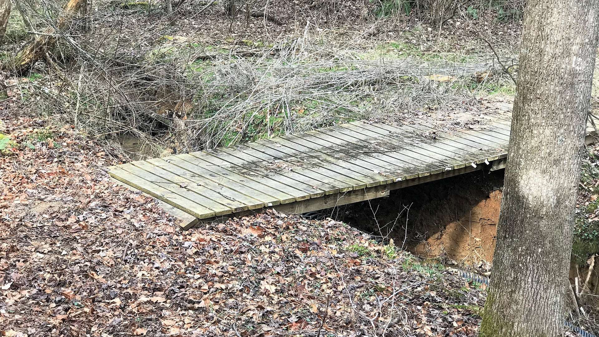 A small bridge crosses over a natural mountain creek that provides water for wildlife and pond potential.