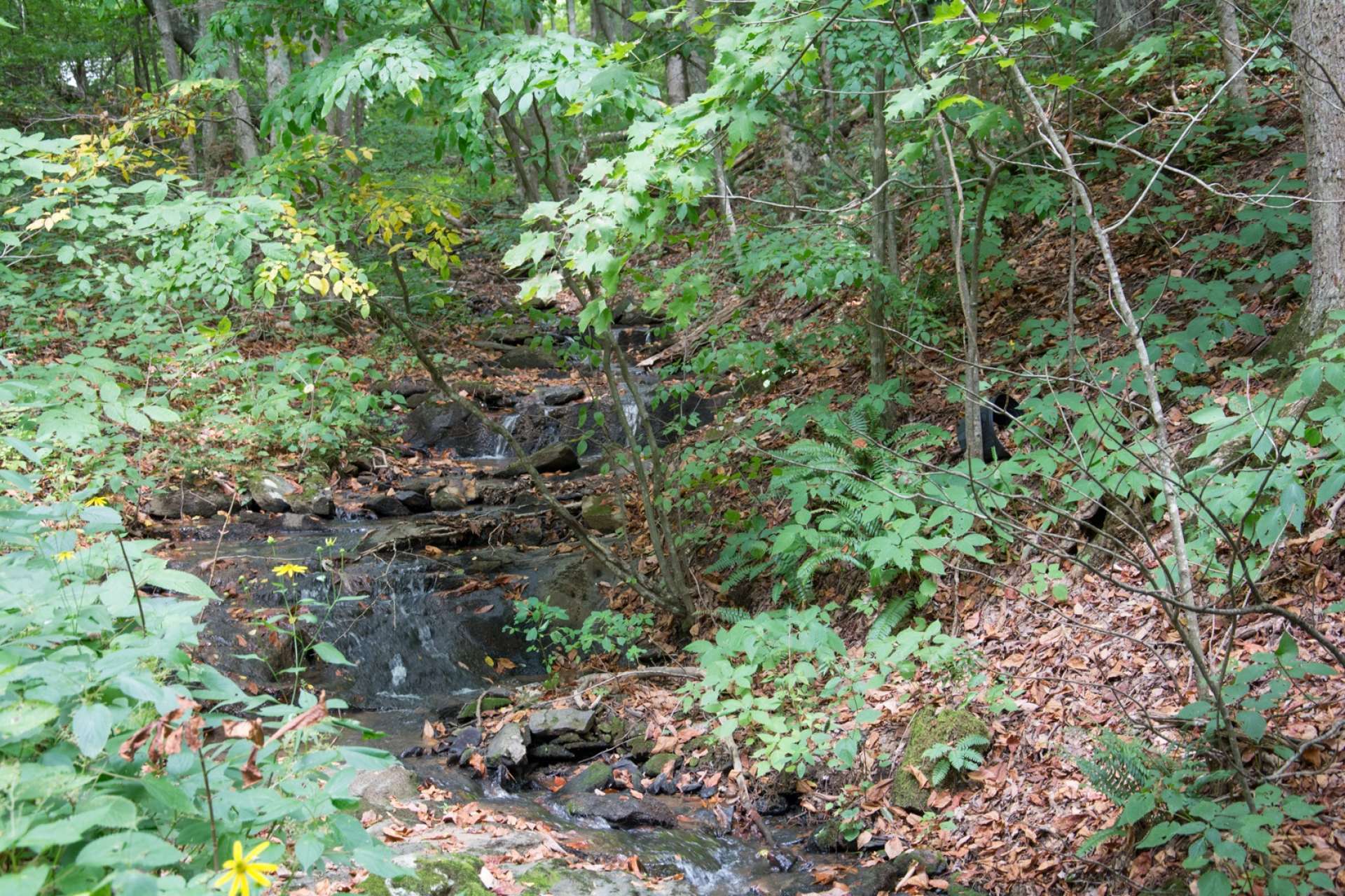 Or relax along the banks of this mountain stream.