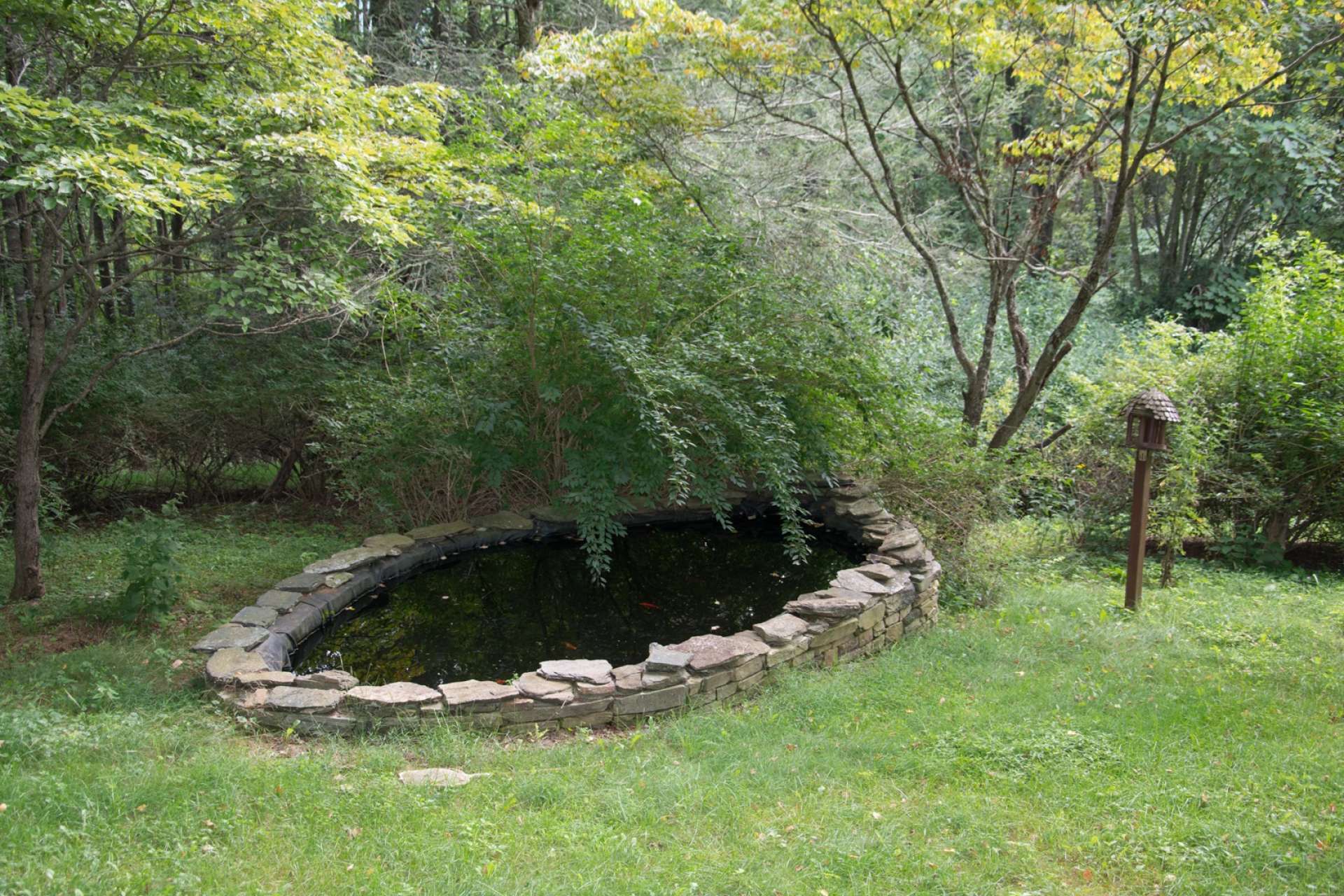 You will also love spending time at this small goldfish pond.