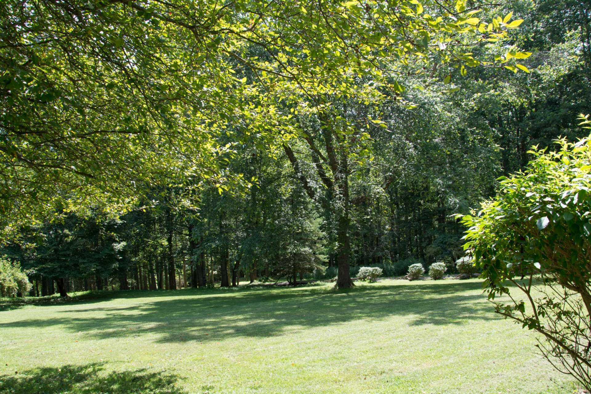 A lush green lawn with large shade trees provide a wonderful space for outdoor games or gardens.