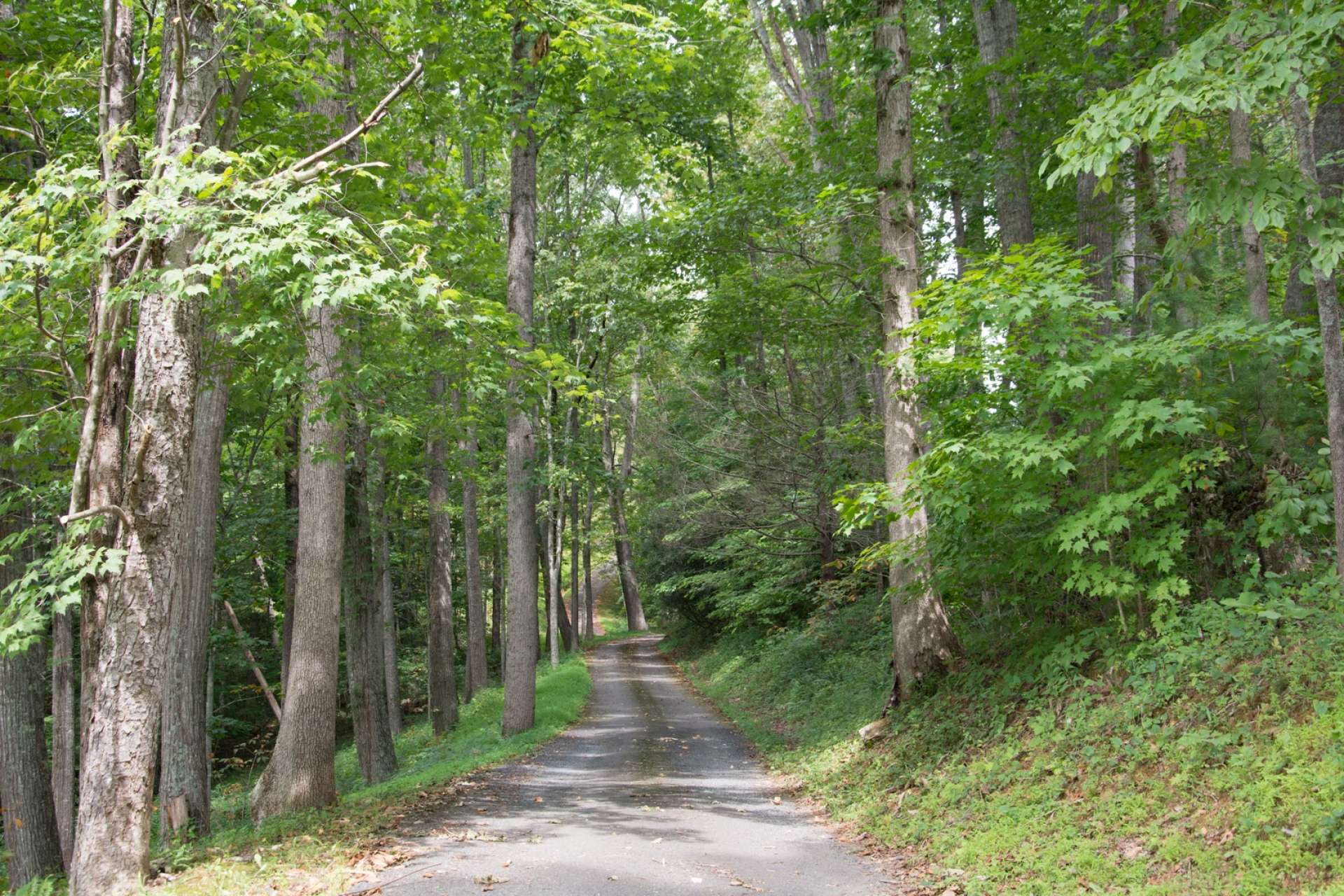 A paved drive canopied by native hardwoods and mountain foliage winds its way up to your private mountaintop estate where you can experience leisurely mountain living.