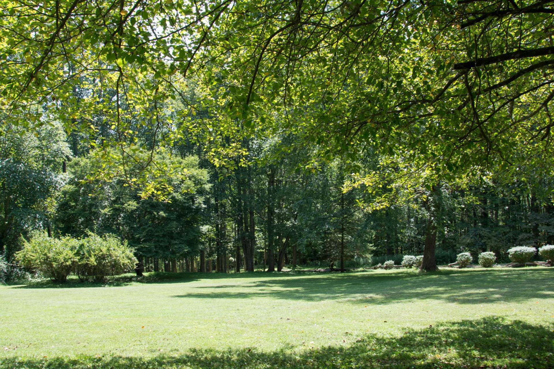 A lush green lawn with large shade trees provide a wonderful space for outdoor games or gardens.
