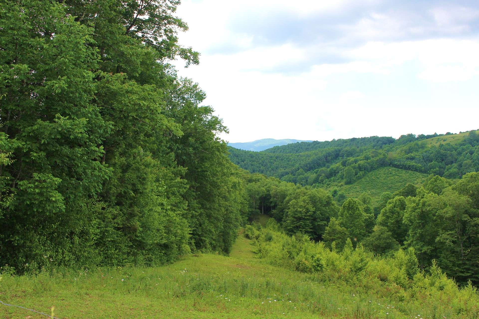 There are so many options and opportunities for you with this 43+ acre tract located in the Creston area of Northwestern Ashe County and close to the amenities of Boone, West Jefferson, and the Grayson Highlands areas. Offered at $150,000, this land awaits your vision for its future. Call for additional information on listing S265.