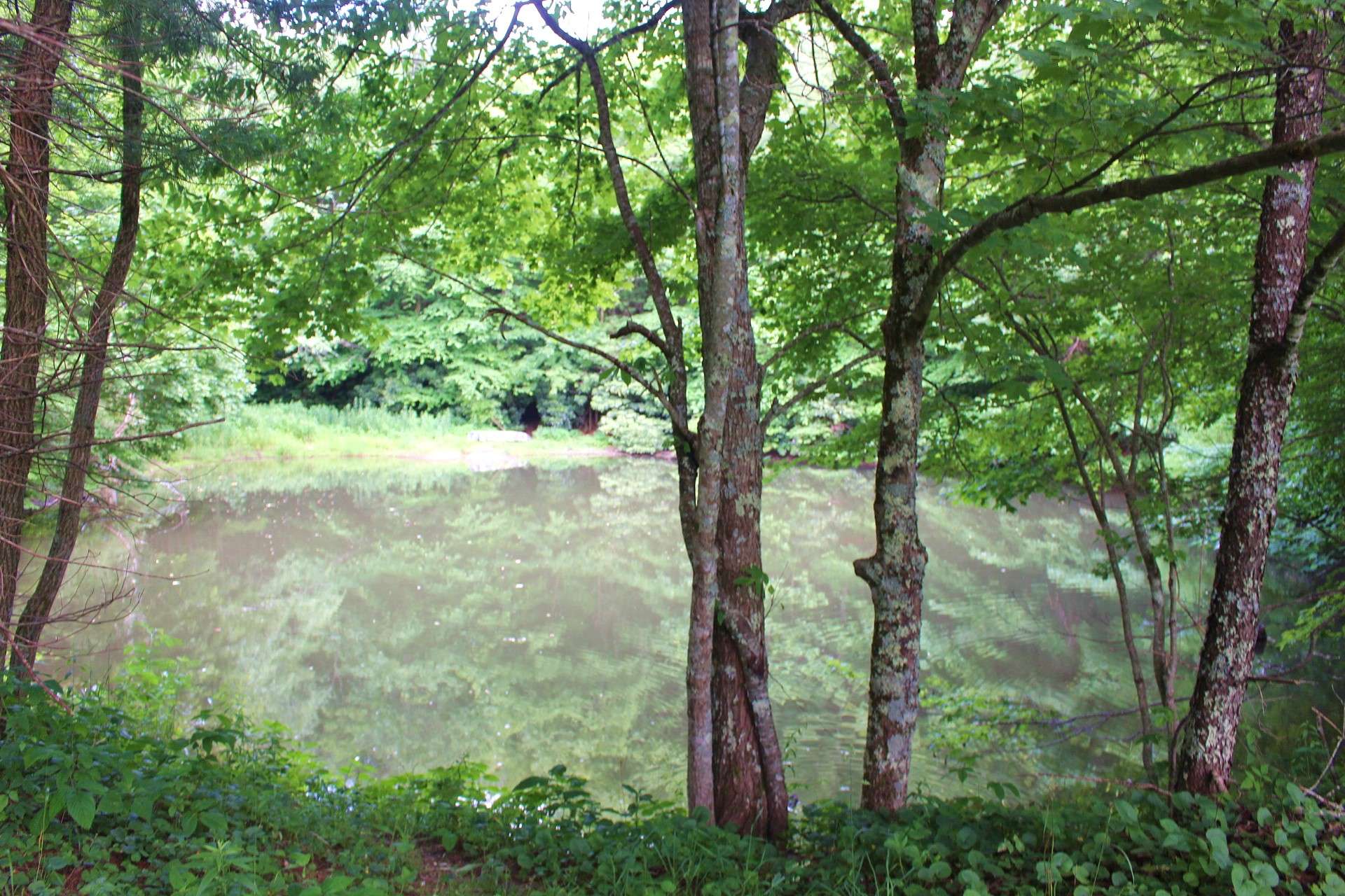 ...Overlooking the serene spring fed pond. Imagine relaxing on the porch or deck of your mountain cabin and watching the deer come out for a cool drink from the pond while the mountain breezes whisper through the trees.