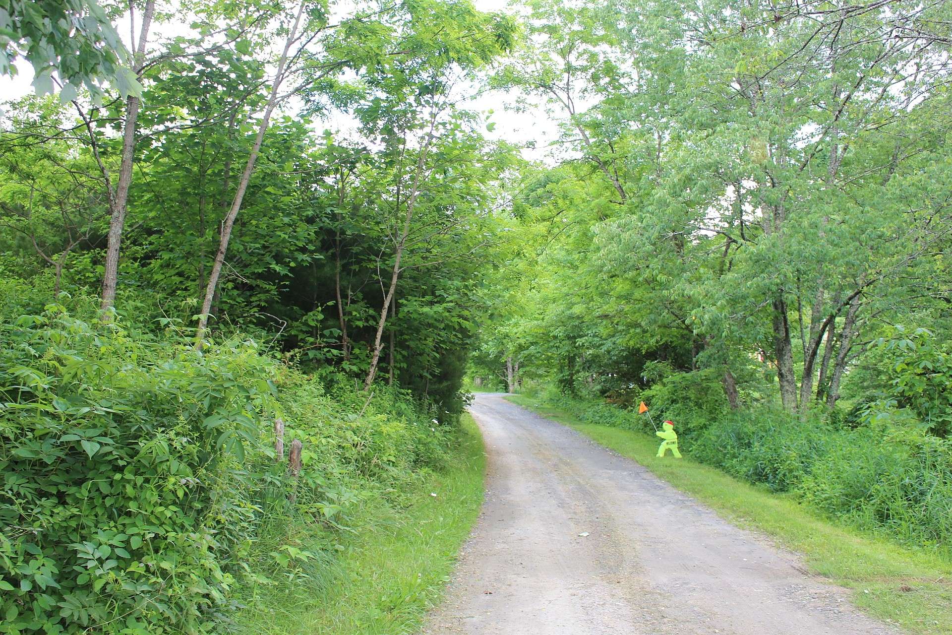 This land tract offers road frontage on two state maintained roads, Willie Walker Road and Roaring Fork Road.