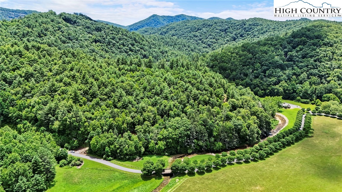 oo Timber Rock Drive