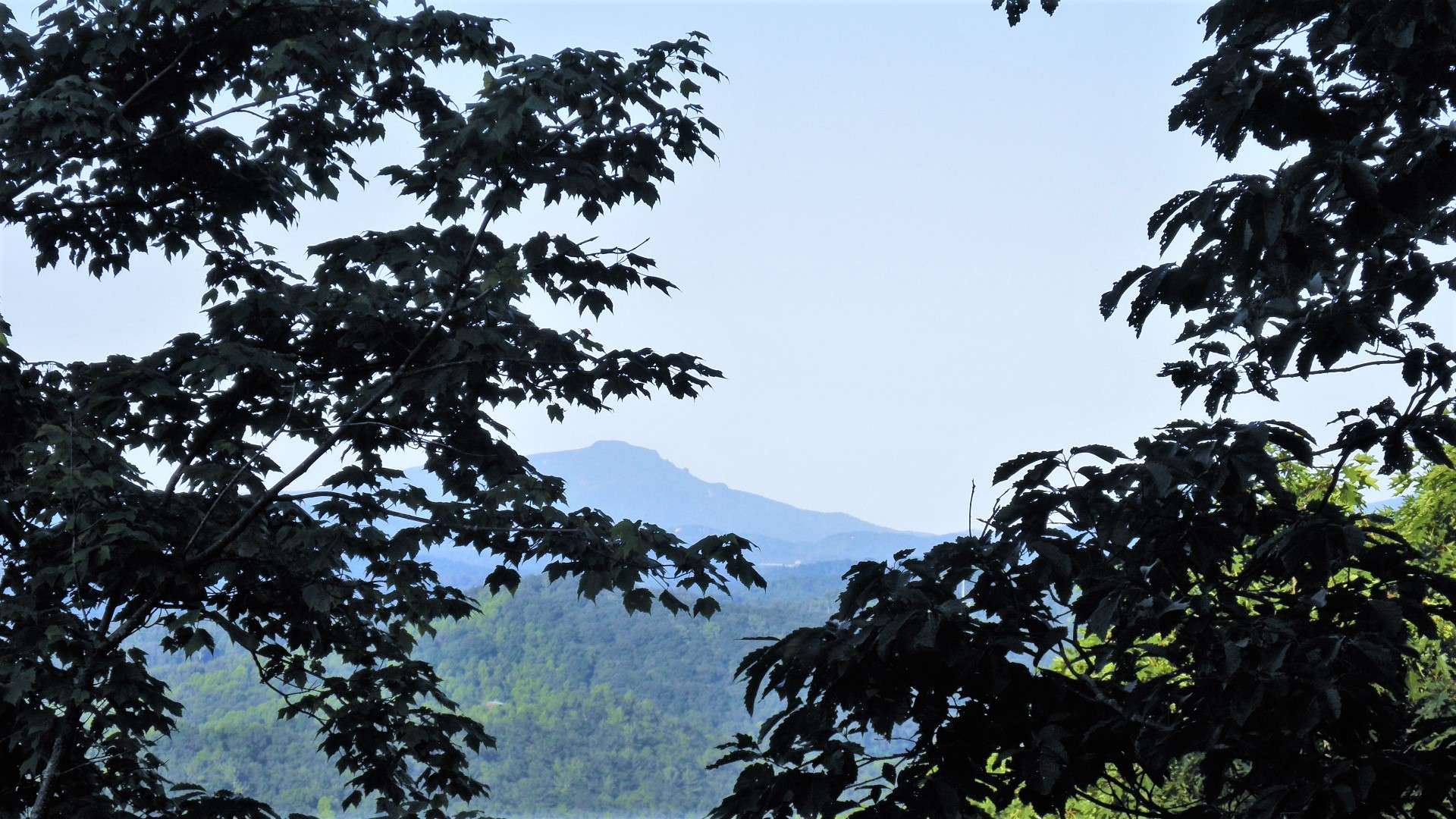 No need to climb a mountain to get to some of the best home sites with layered long range views Ashe County has to offer.