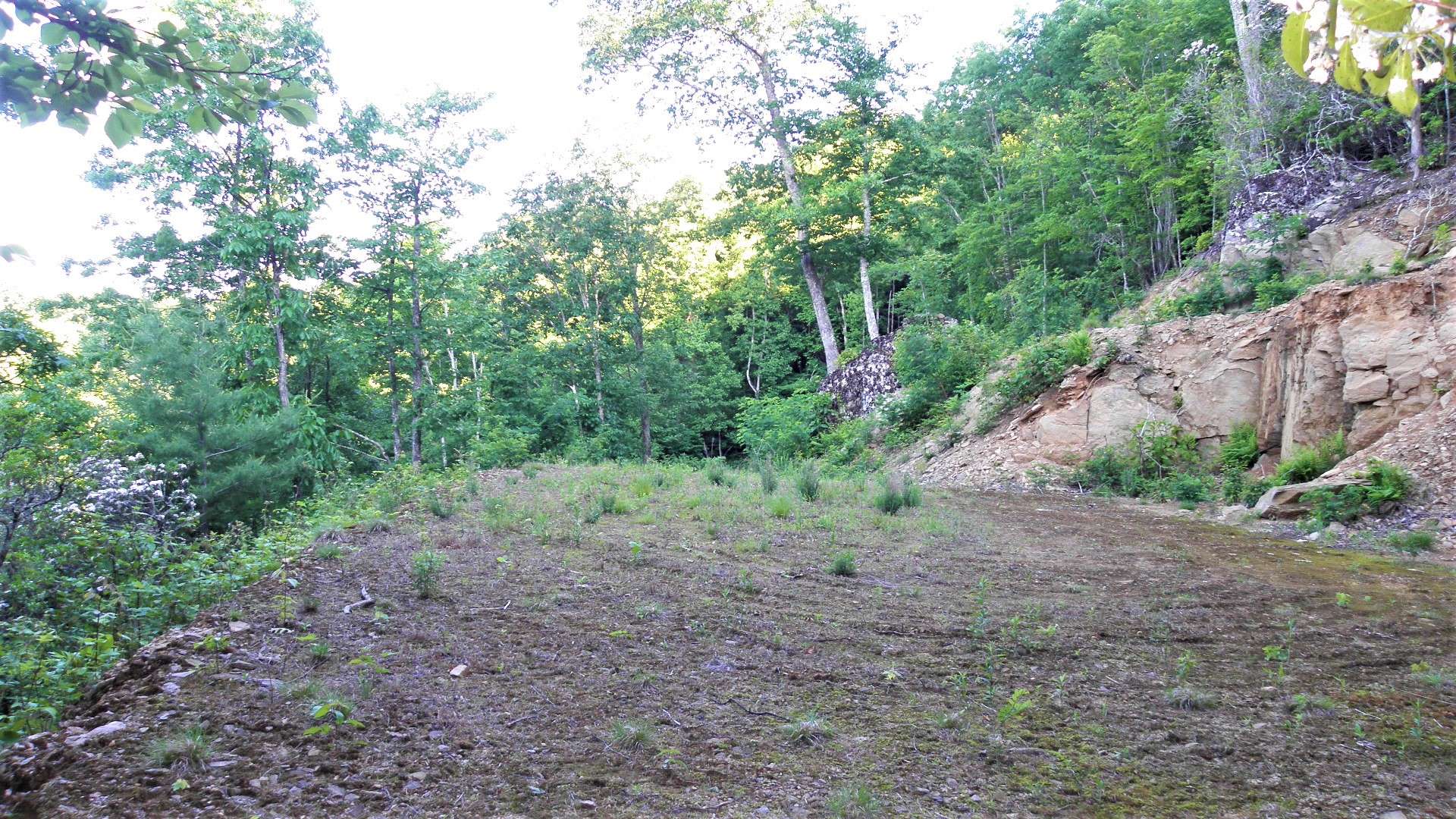 This is the home site at the upper tract offering fantastic long range views.