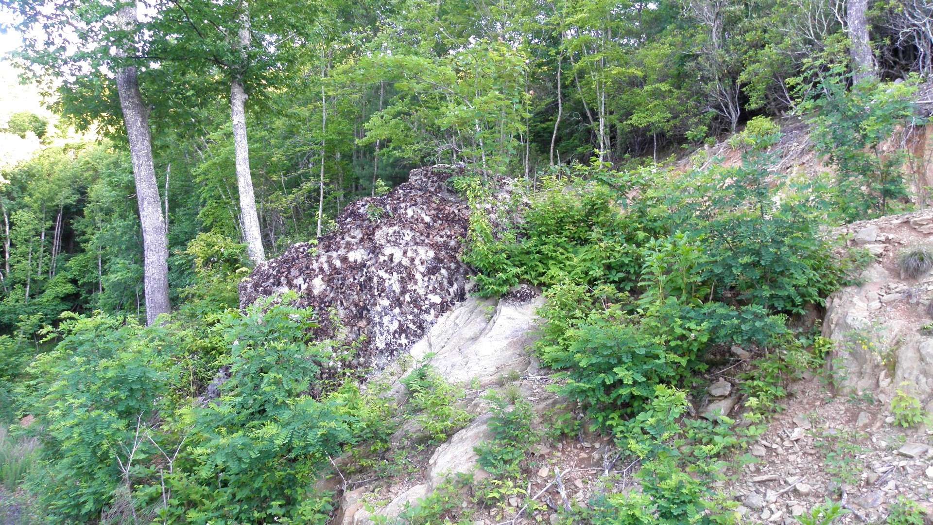 A diverse mixture of native hardwoods, evergreens, mountain foliage, and rock outcroppings enhance the appeal of these home sites.